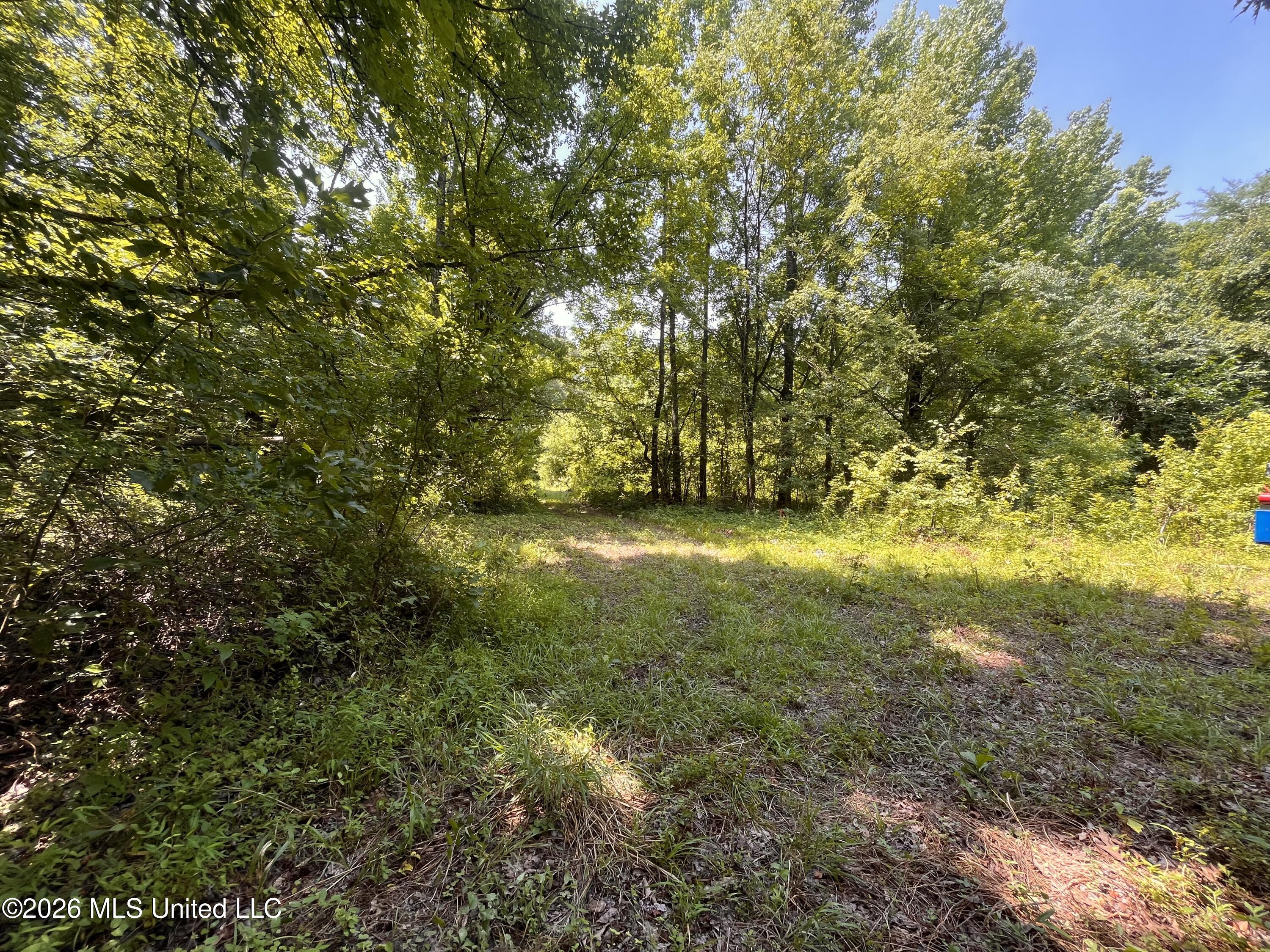 53 Lenzi Road Property Photo 14