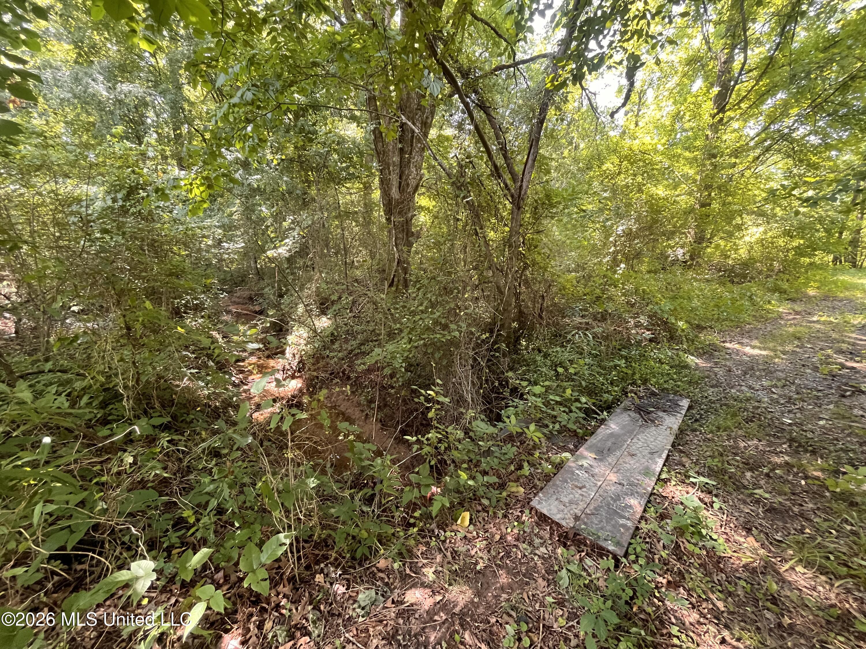 53 Lenzi Road Property Photo 15