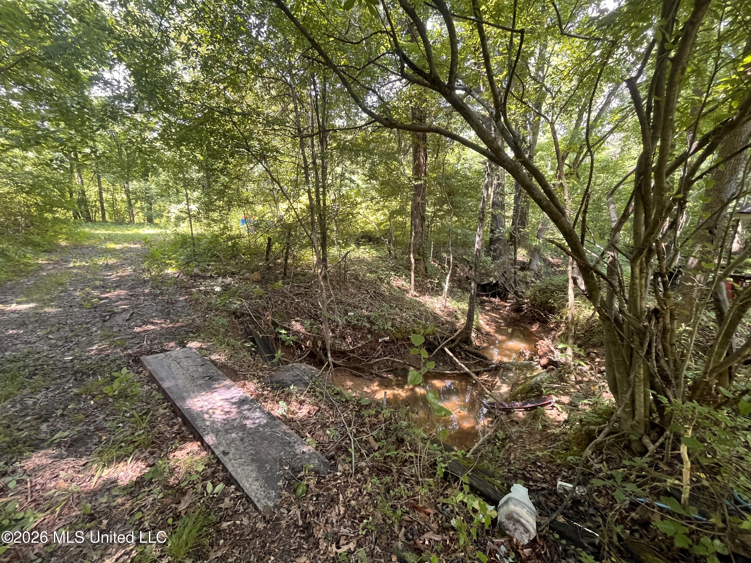 53 Lenzi Road Property Photo 16