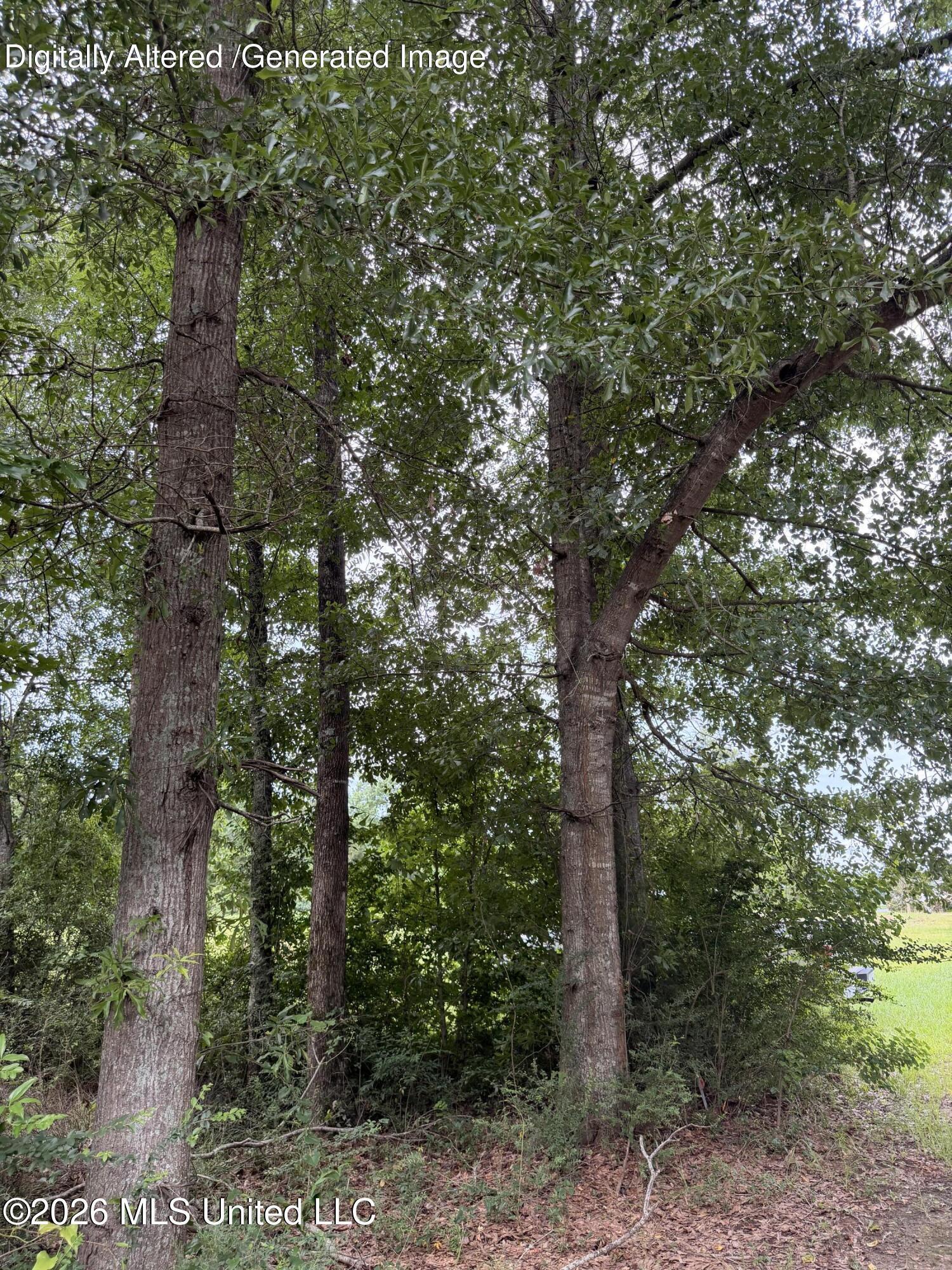 Cedar Ridge Property Photo 1