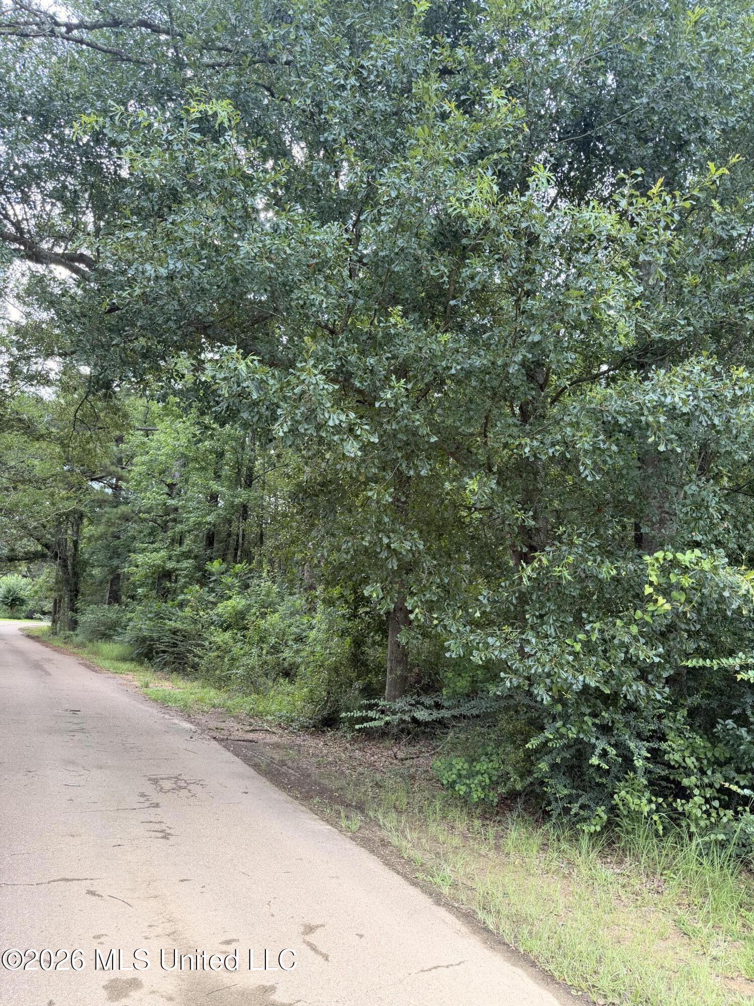 Cedar Ridge Property Photo 3