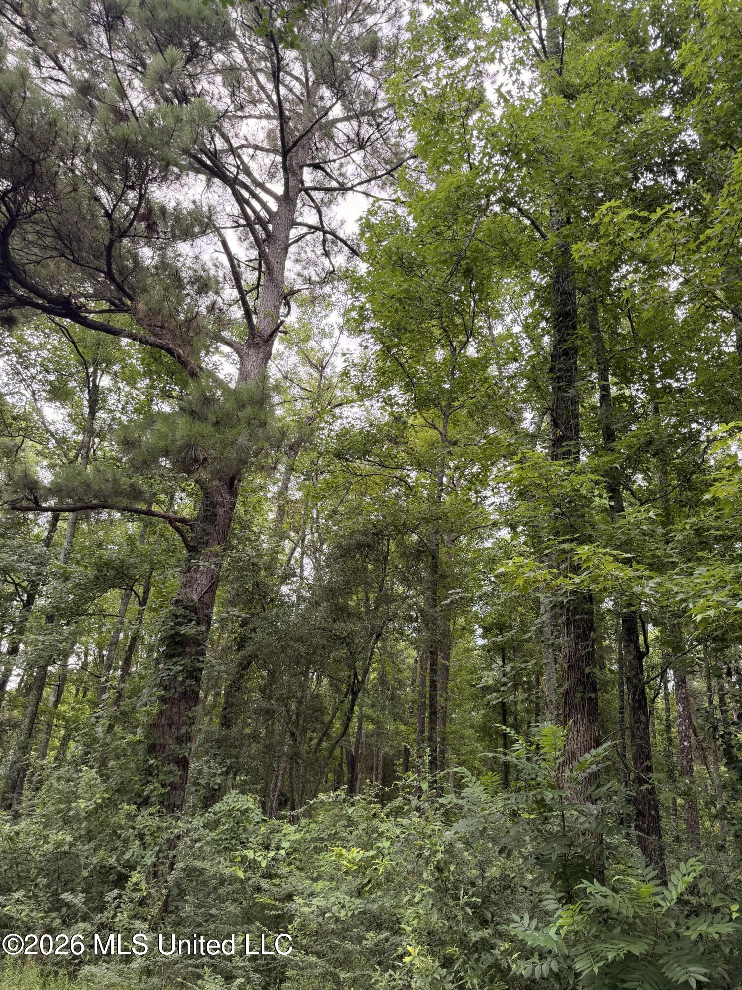Cedar Ridge Property Photo 4