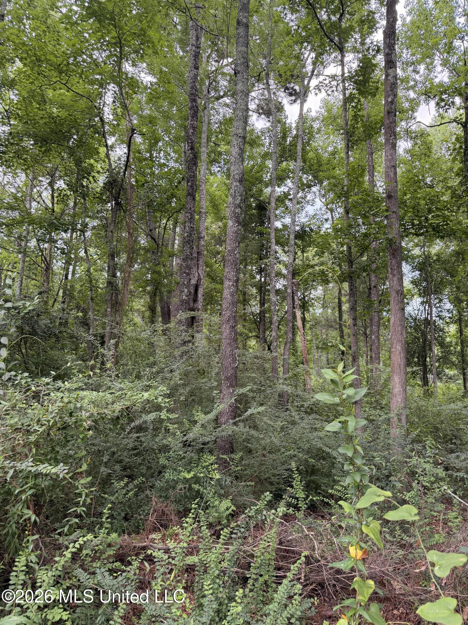 Cedar Ridge Property Photo 5
