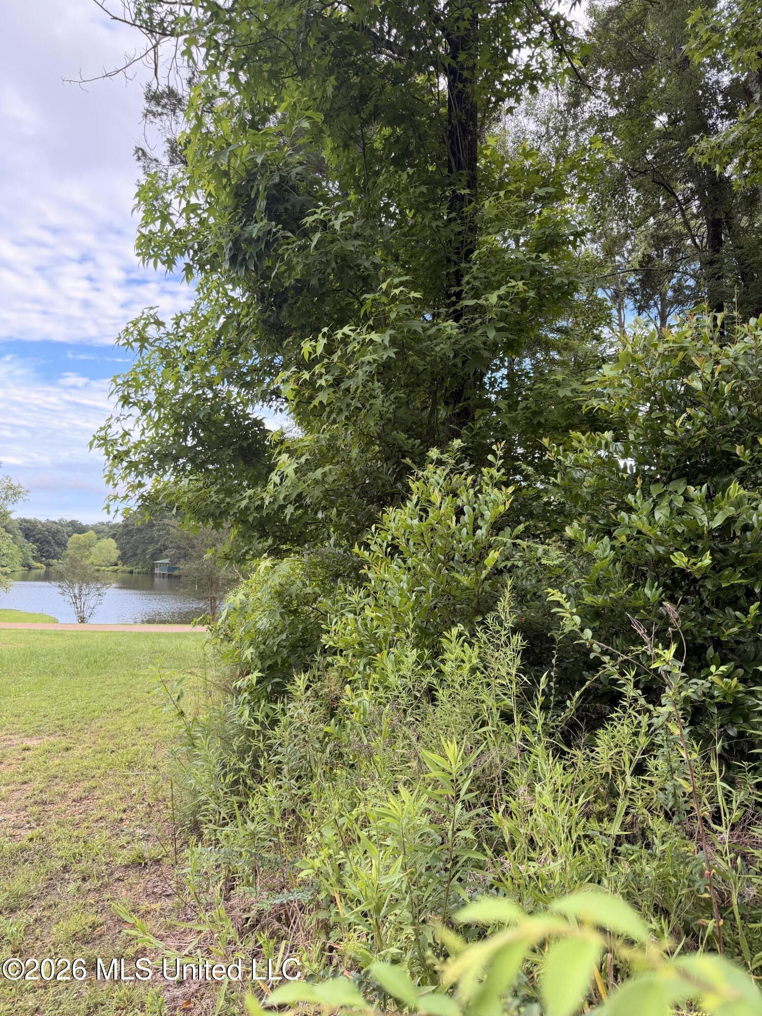 Cedar Ridge Property Photo 8