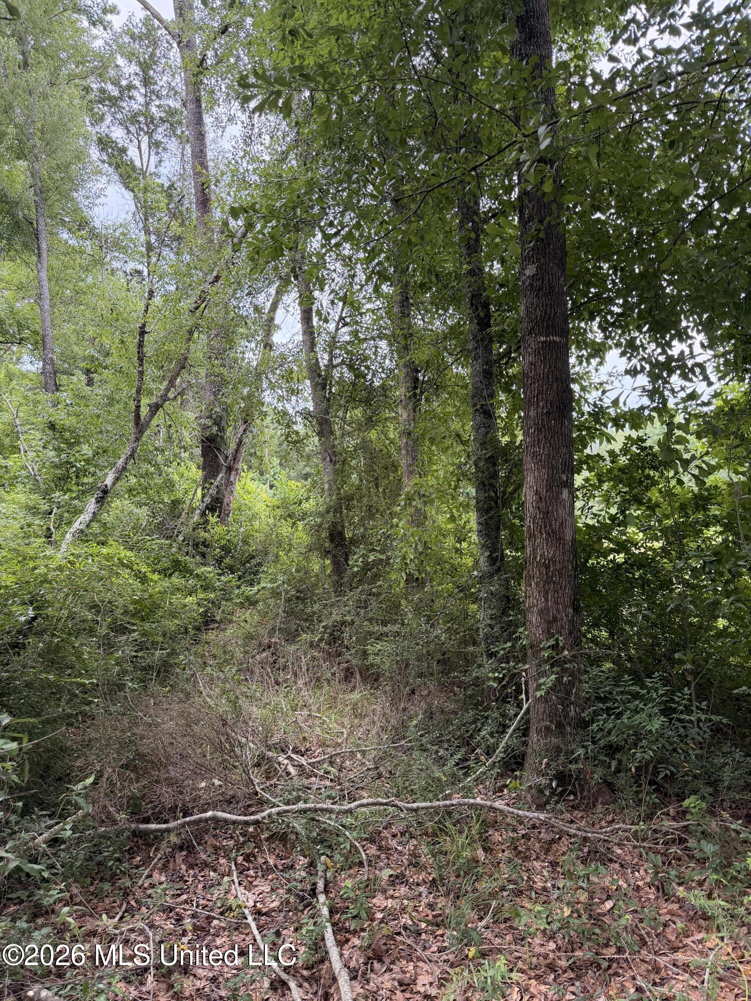 Cedar Ridge Property Photo 9