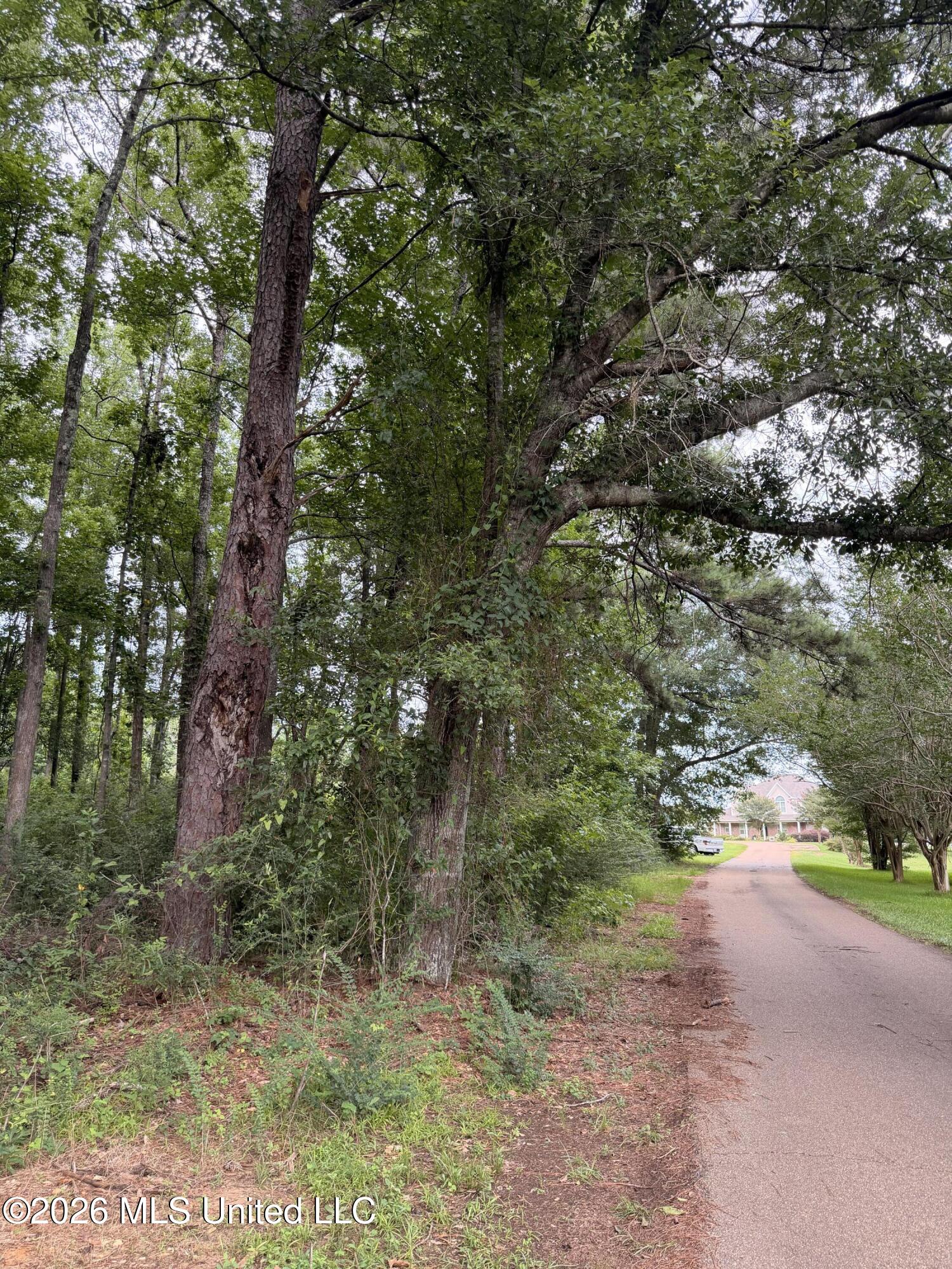 Cedar Ridge Property Photo 11