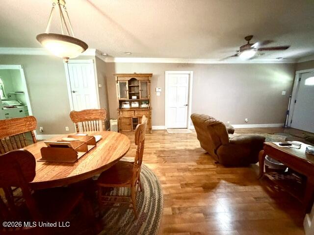 5825 Elder Street Property Photo 20