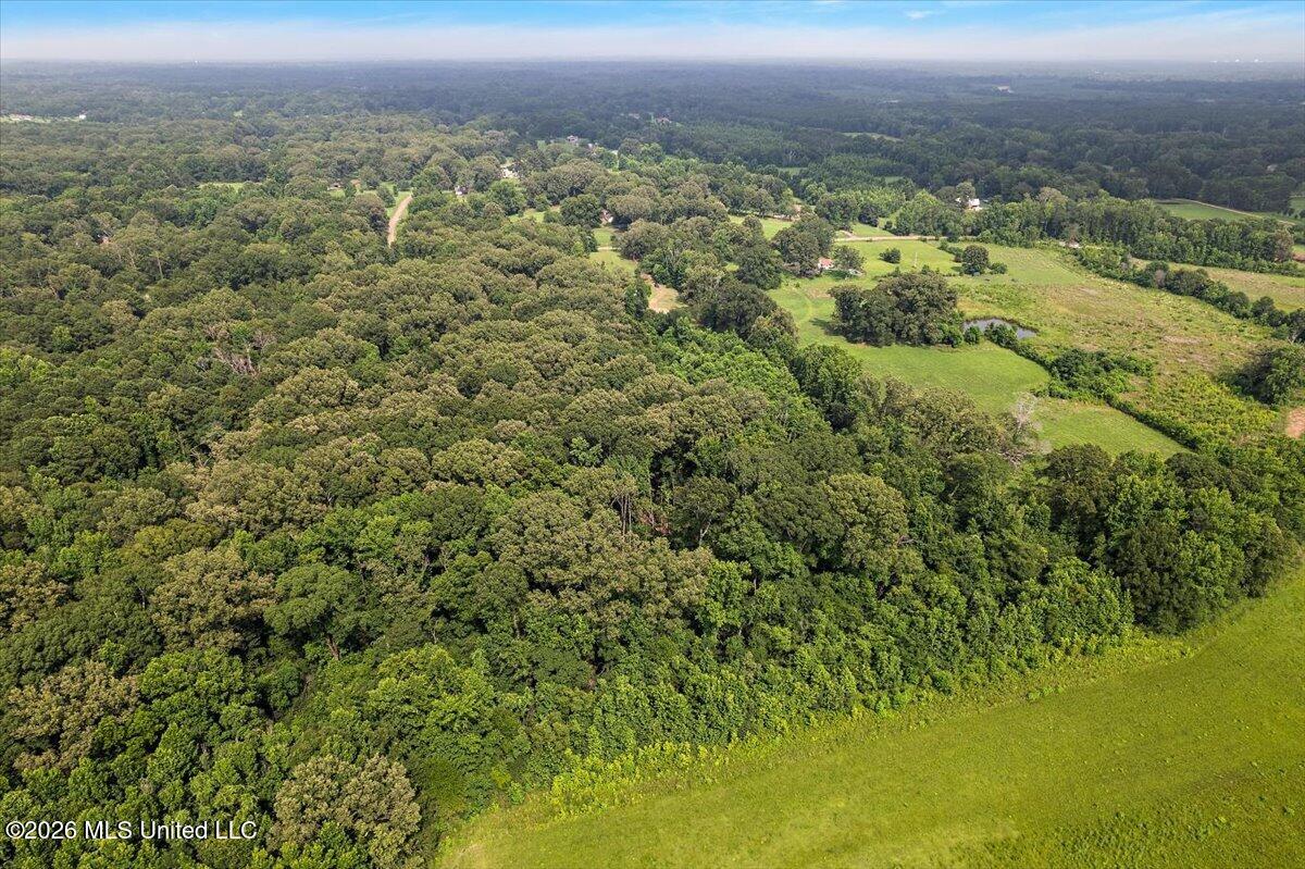5049 Springridge Road Property Photo 46