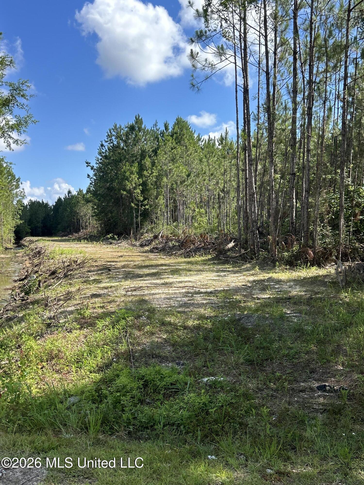 Norman Property Photo 3