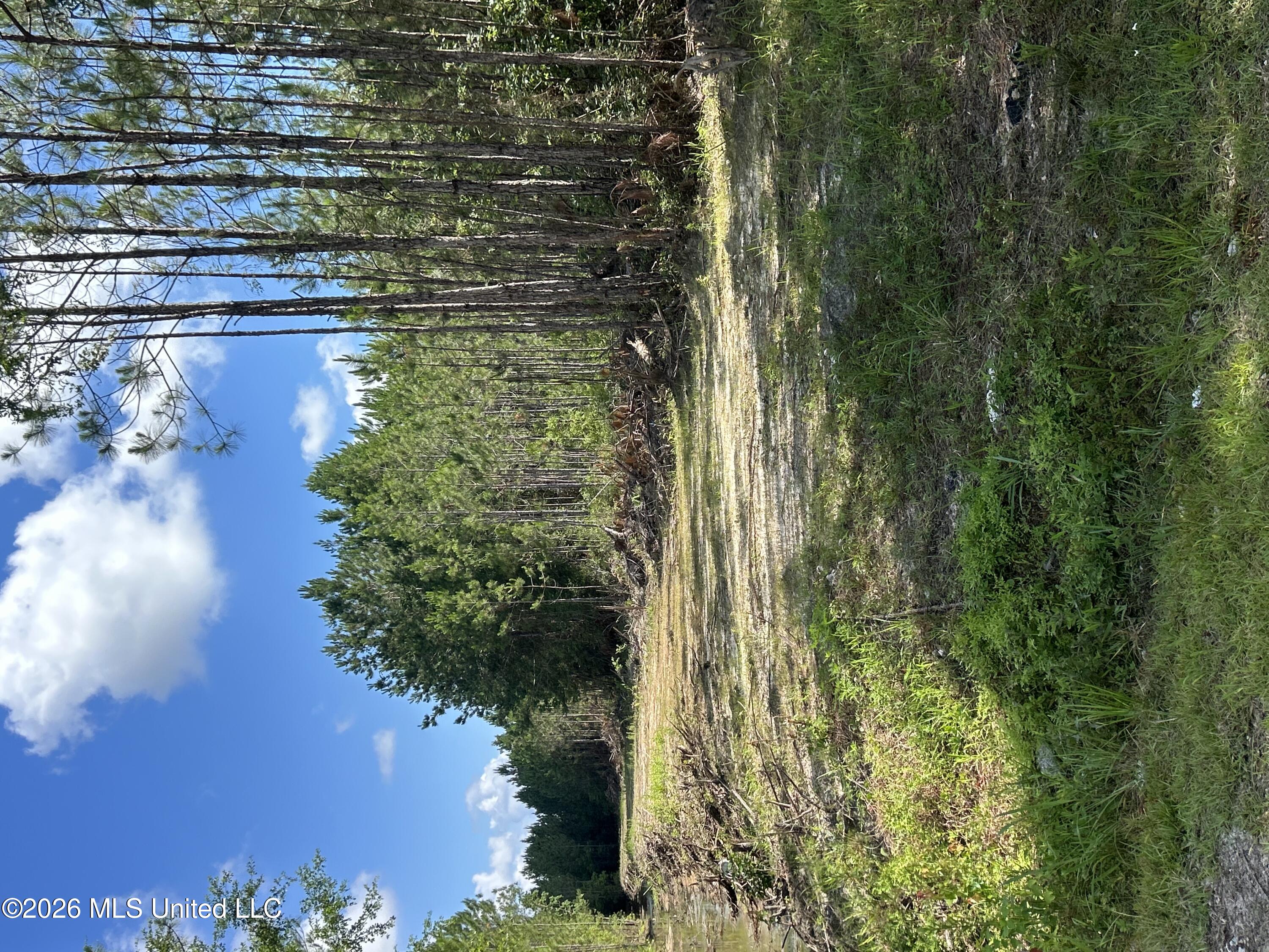 Heidelburg Drive Property Photo 3