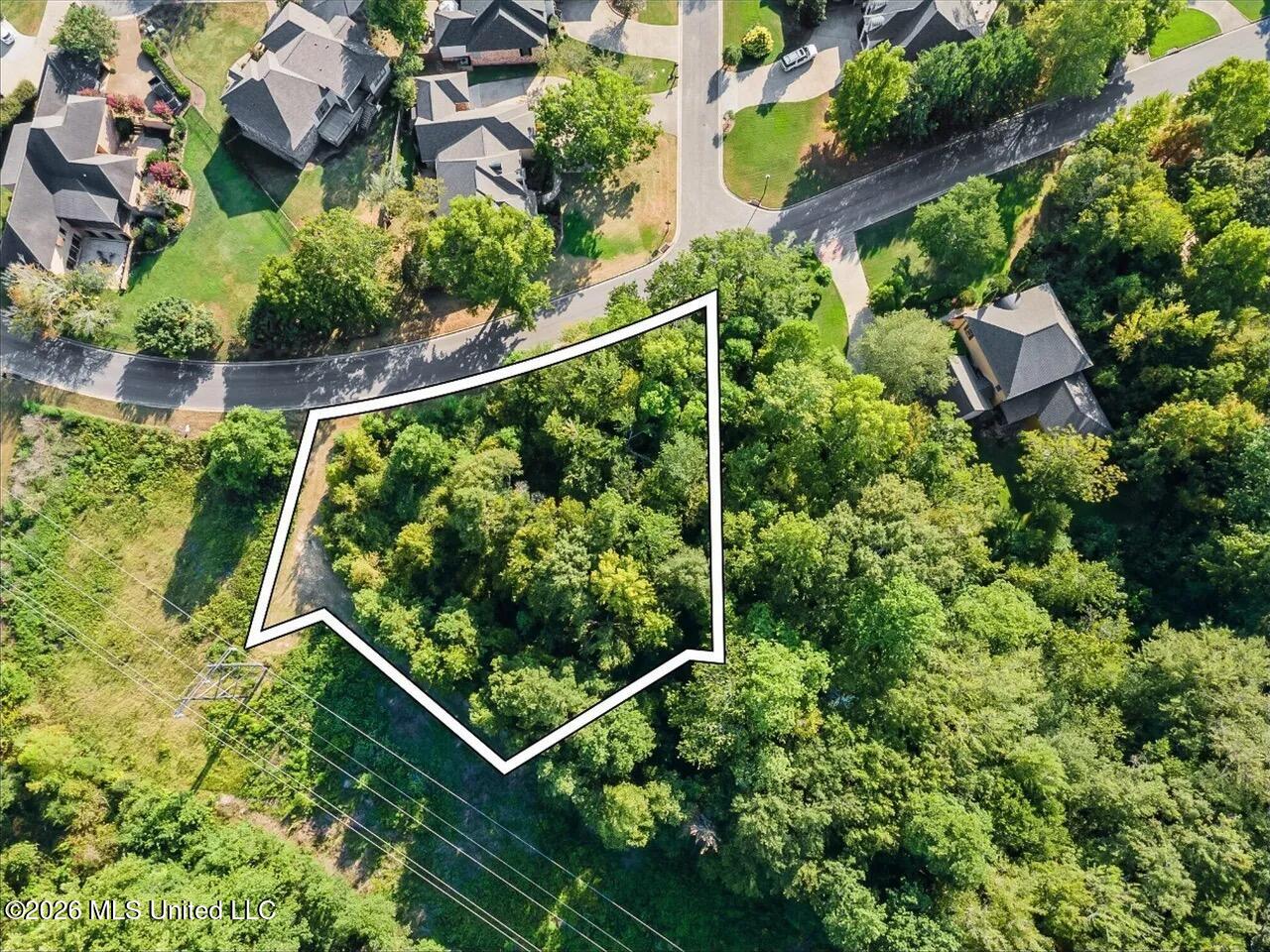 0 Pecan Acres Property Photo 1