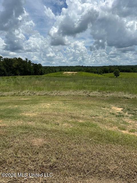 120 Eula Grayson Road Property Photo 1