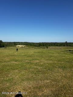 120 Eula Grayson Road Property Photo 23