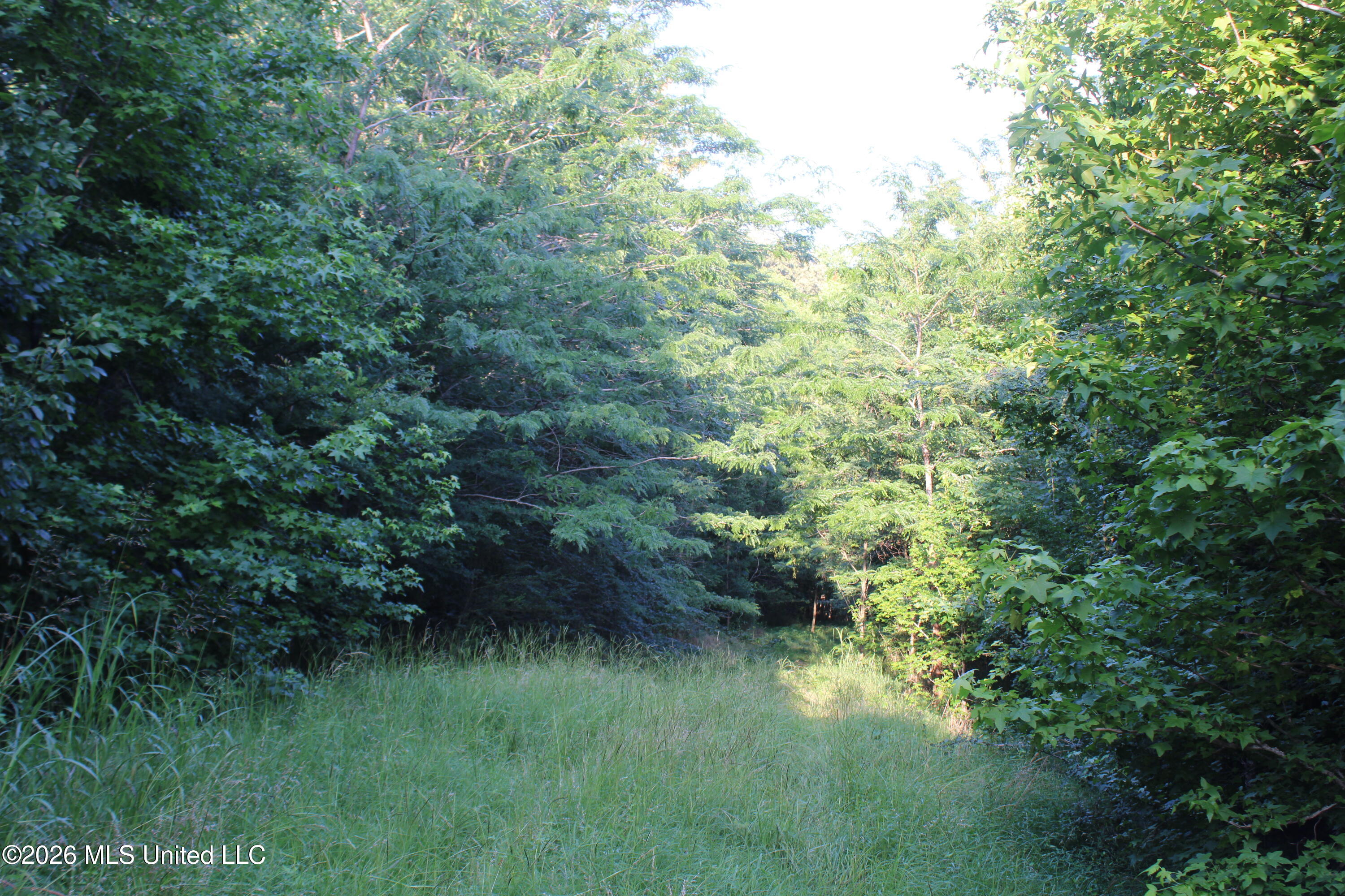 2000 Sparks Road Property Photo 12