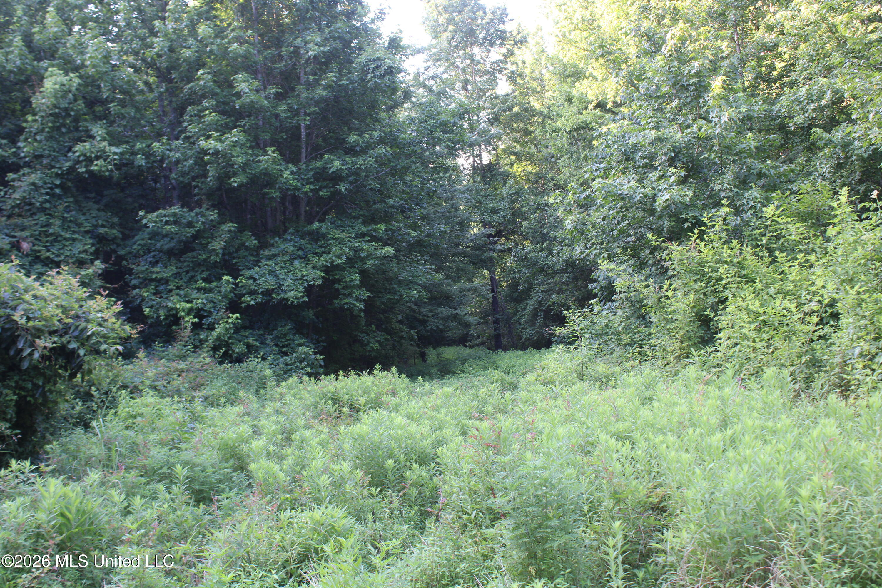 2000 Sparks Road Property Photo 13