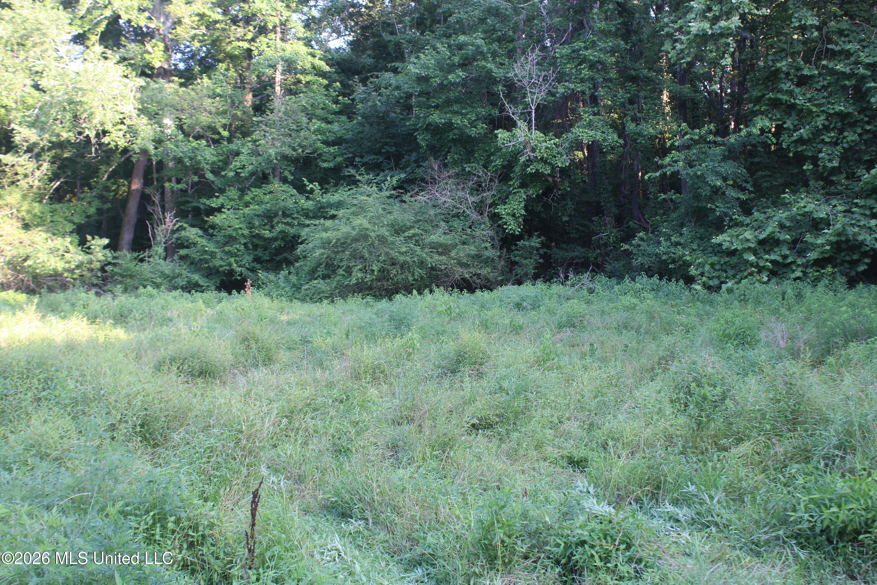 2000 Sparks Road Property Photo 14