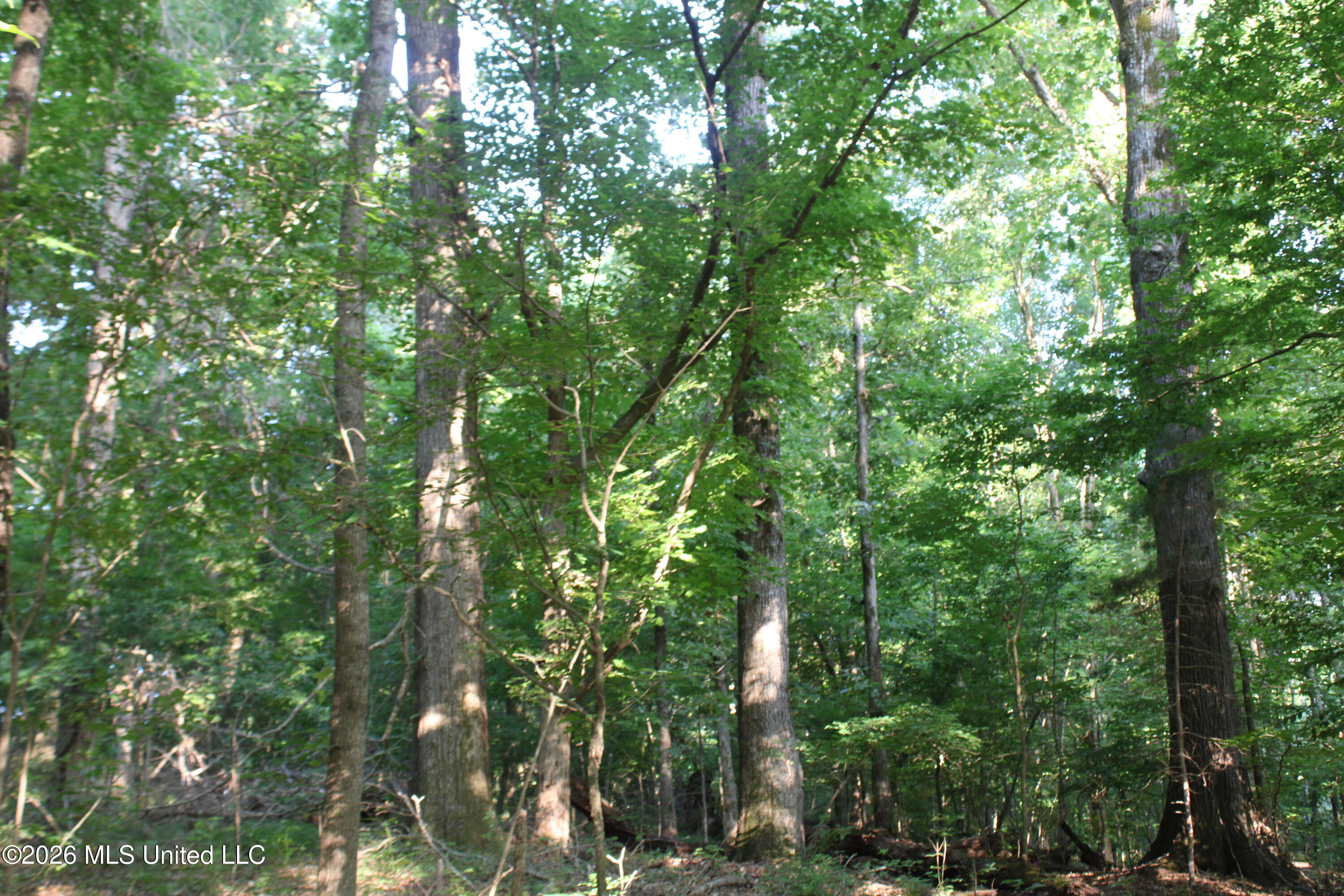 2000 Sparks Road Property Photo 16