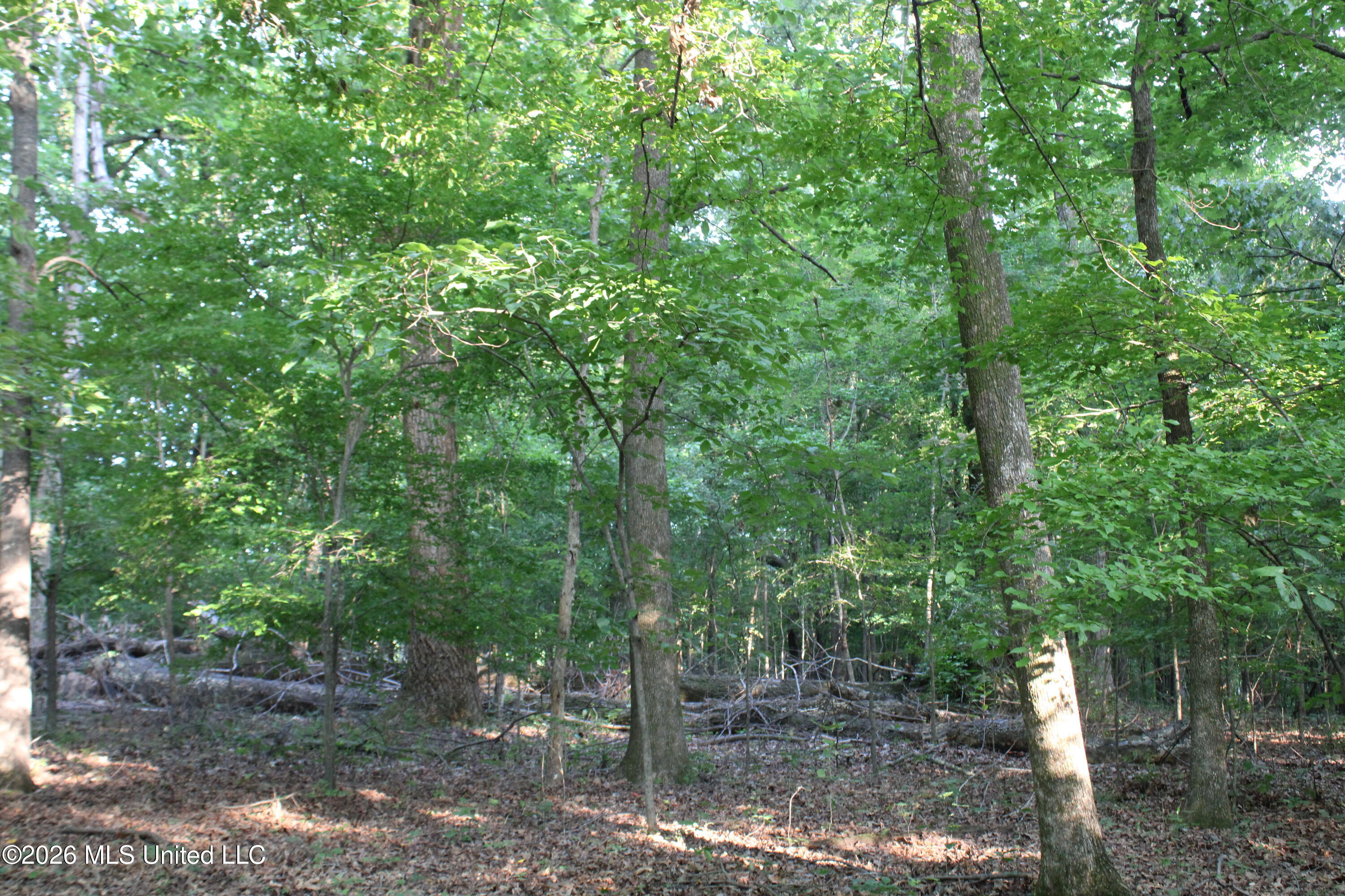2000 Sparks Road Property Photo 17