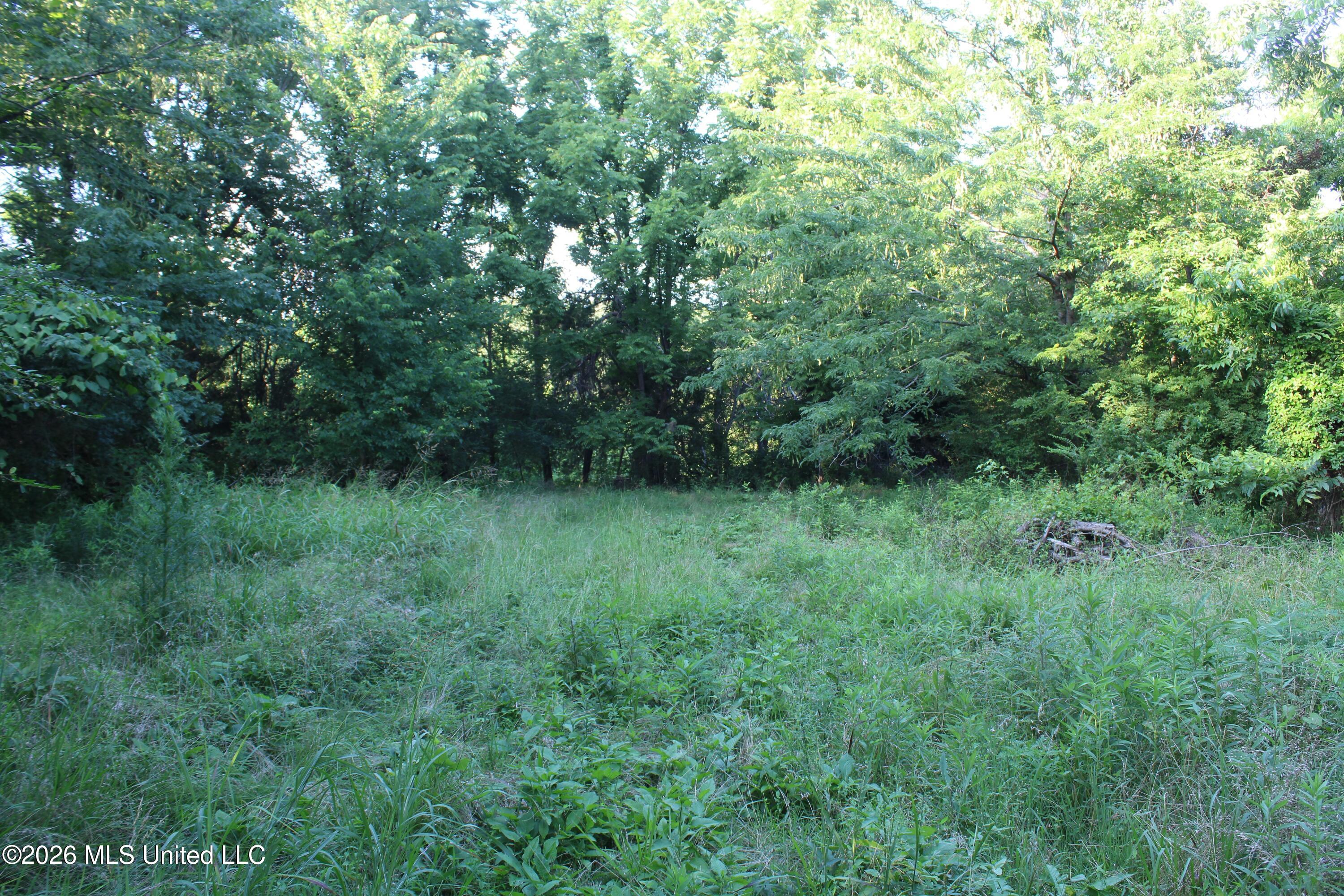 2000 Sparks Road Property Photo 20