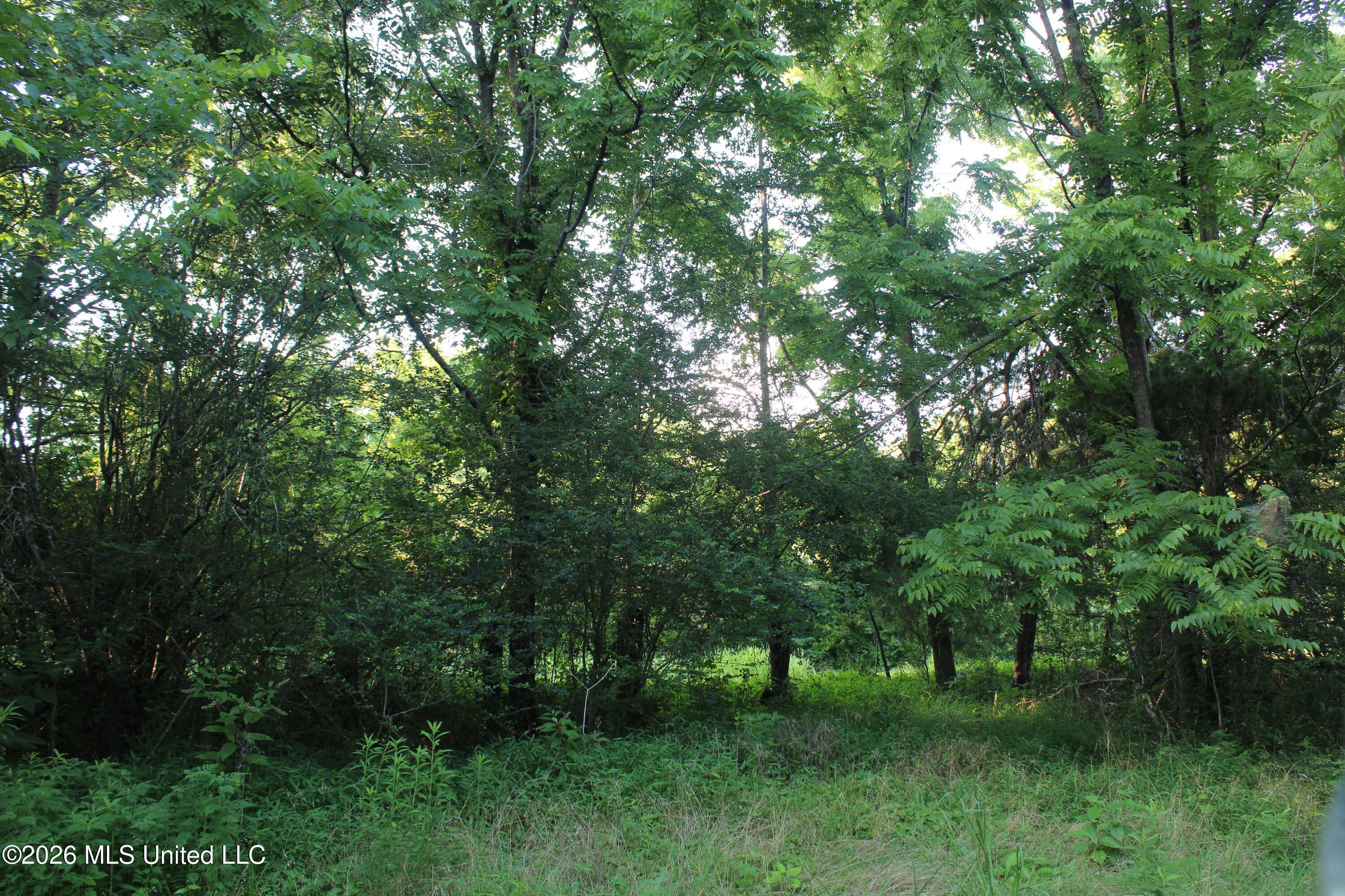2000 Sparks Road Property Photo 21
