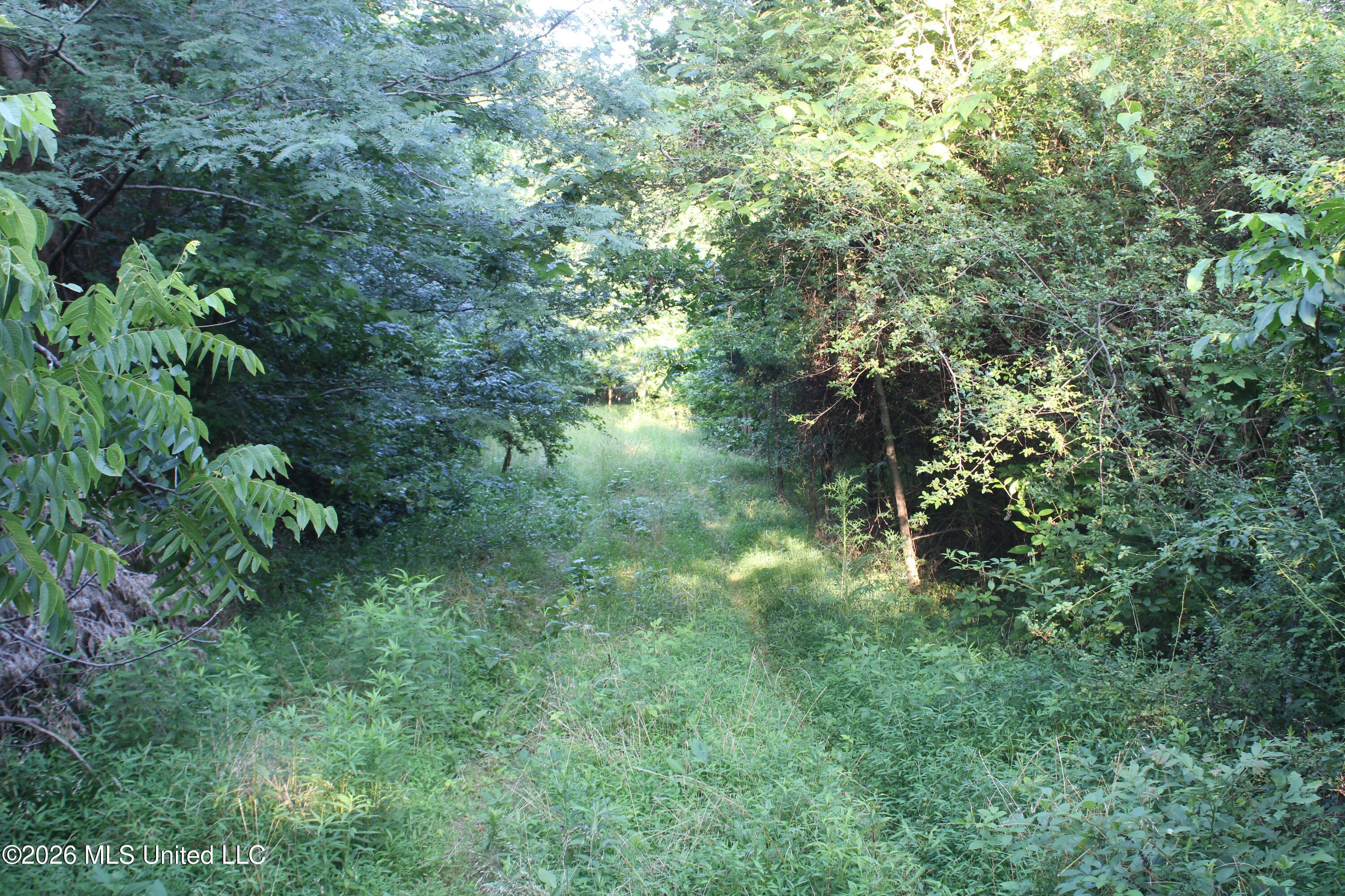 2000 Sparks Road Property Photo 22