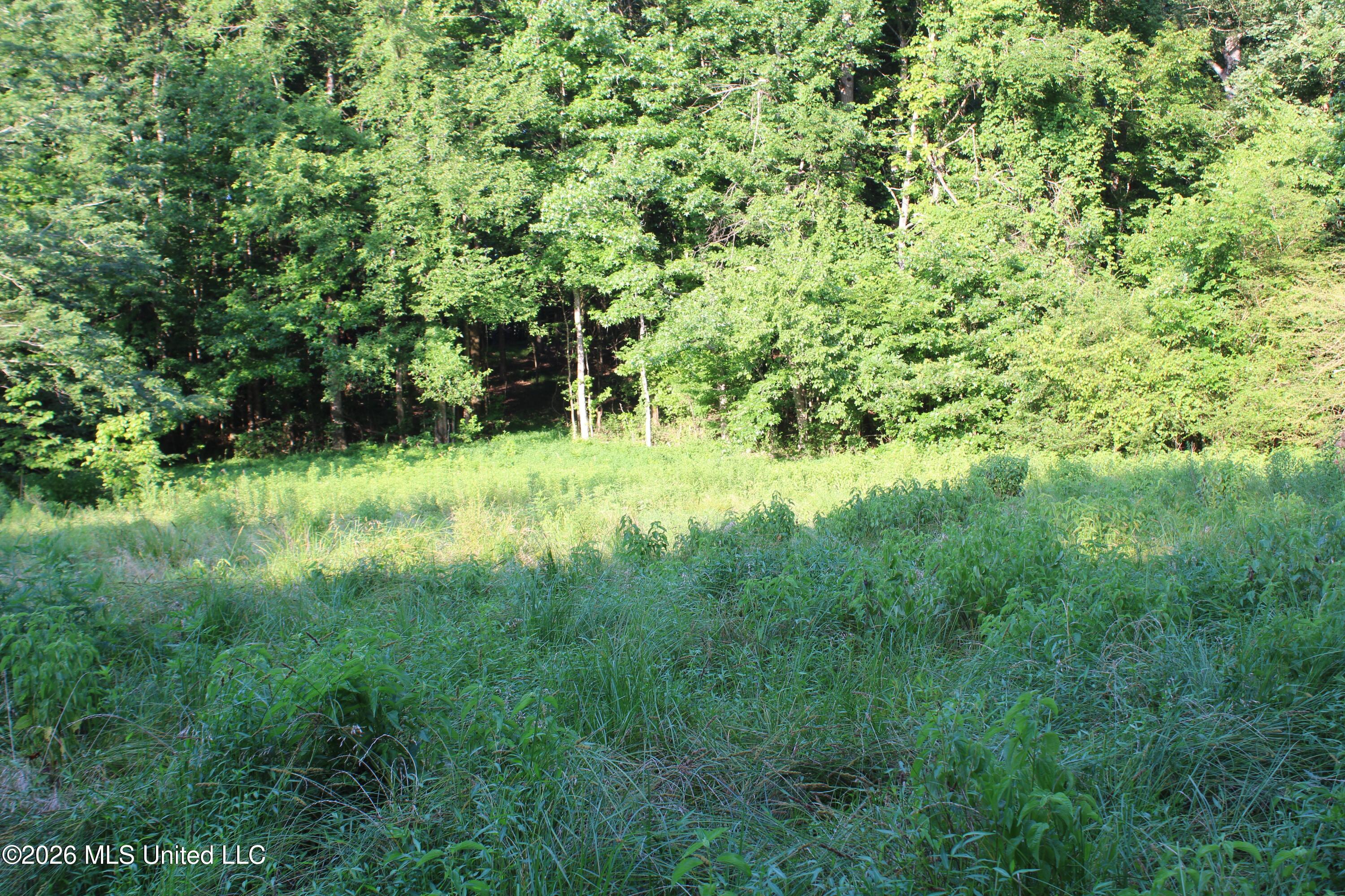 2000 Sparks Road Property Photo 23