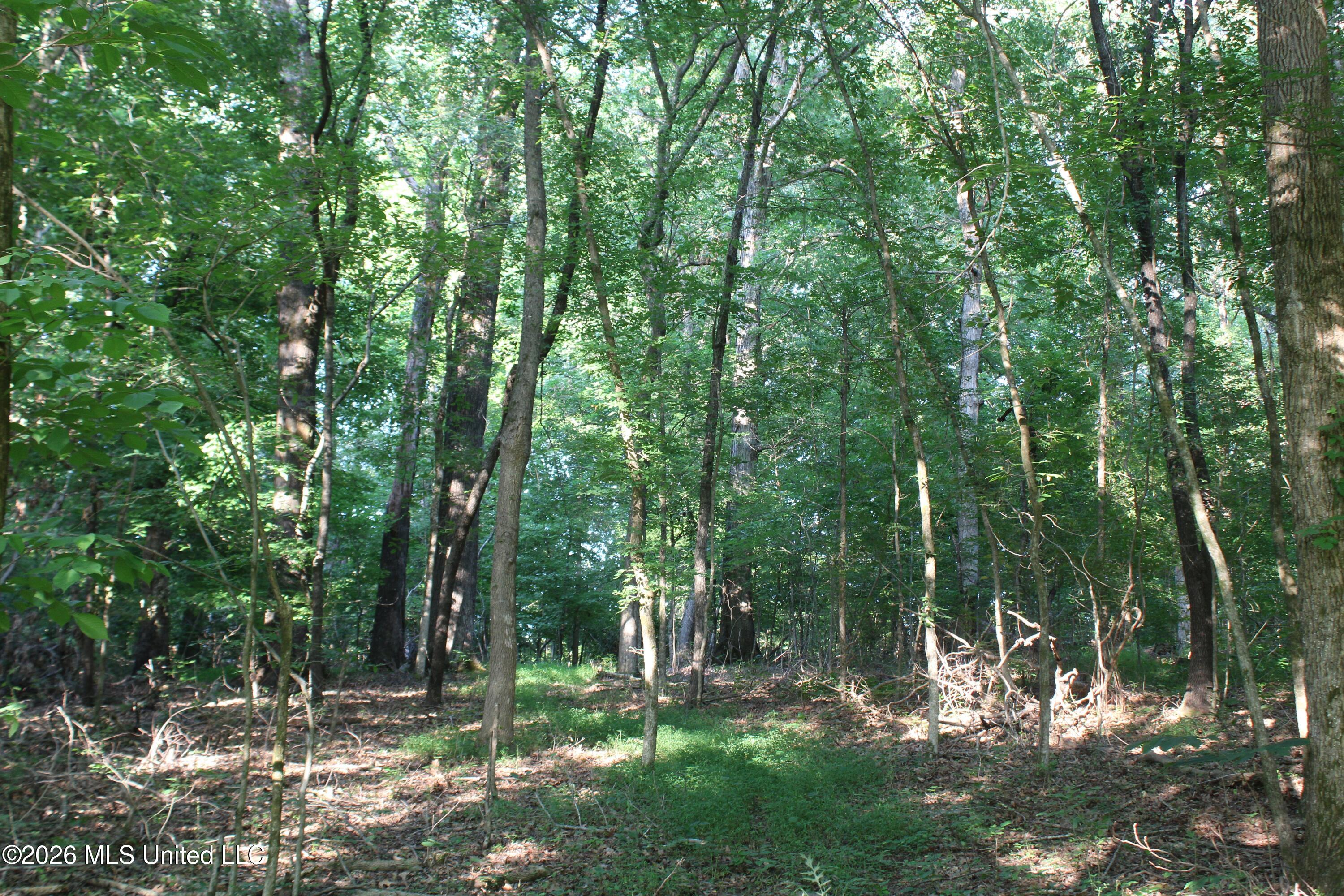 2000 Sparks Road Property Photo 24