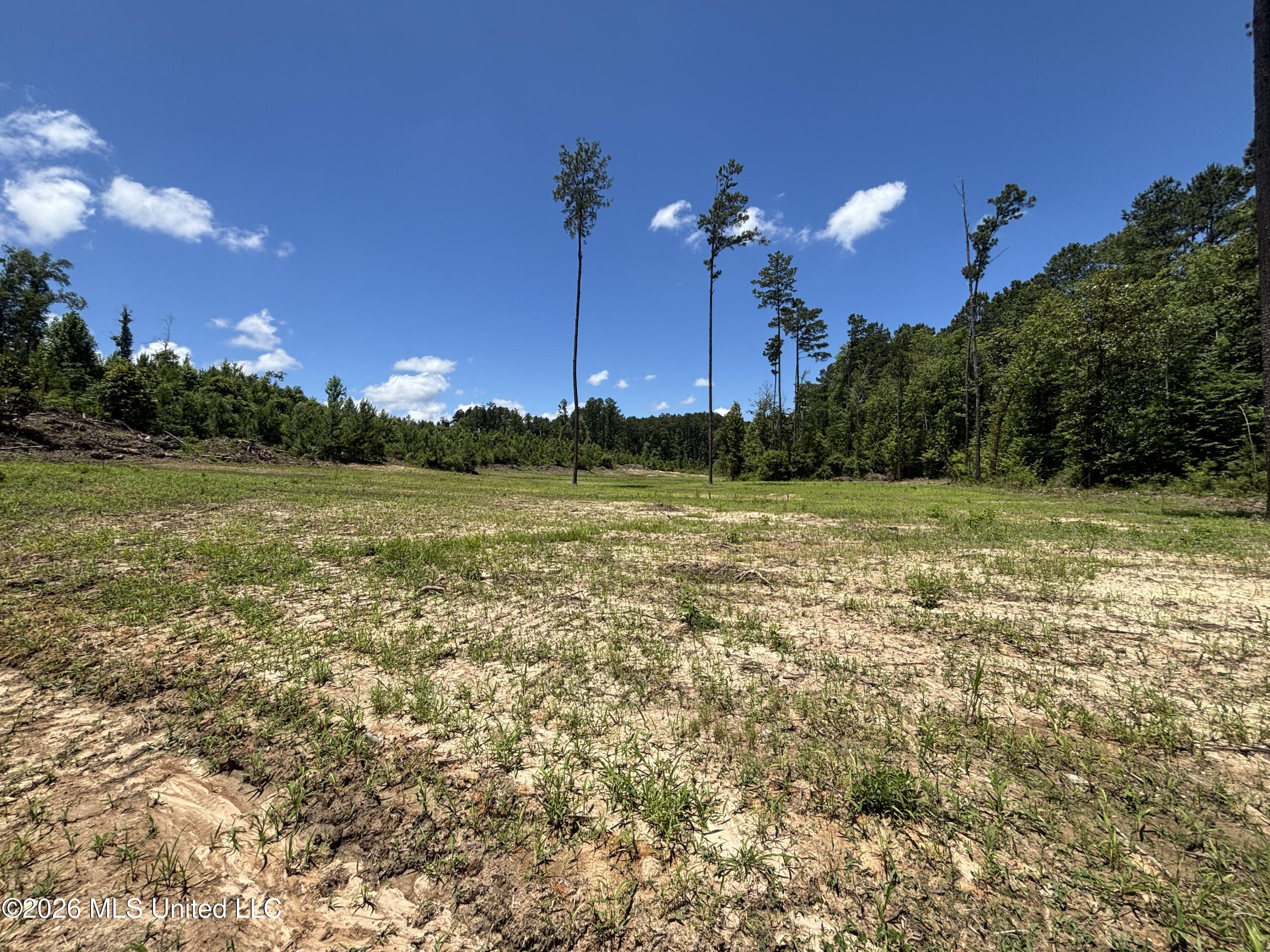 Stump Road Property Photo 2