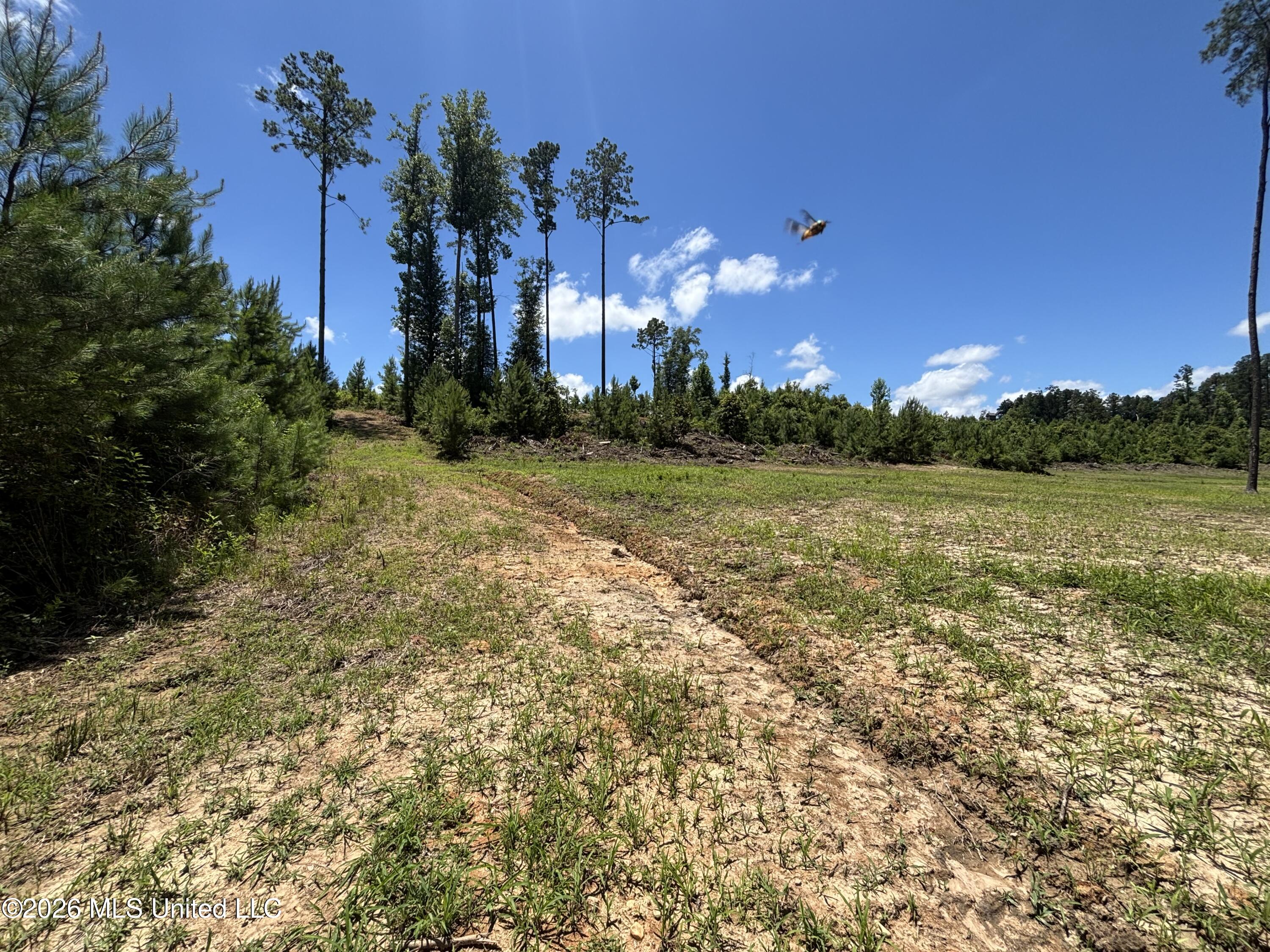 Stump Road Property Photo 4