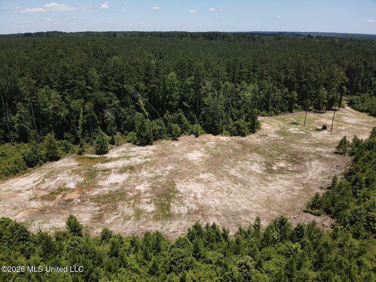 Stump Road Property Photo 6