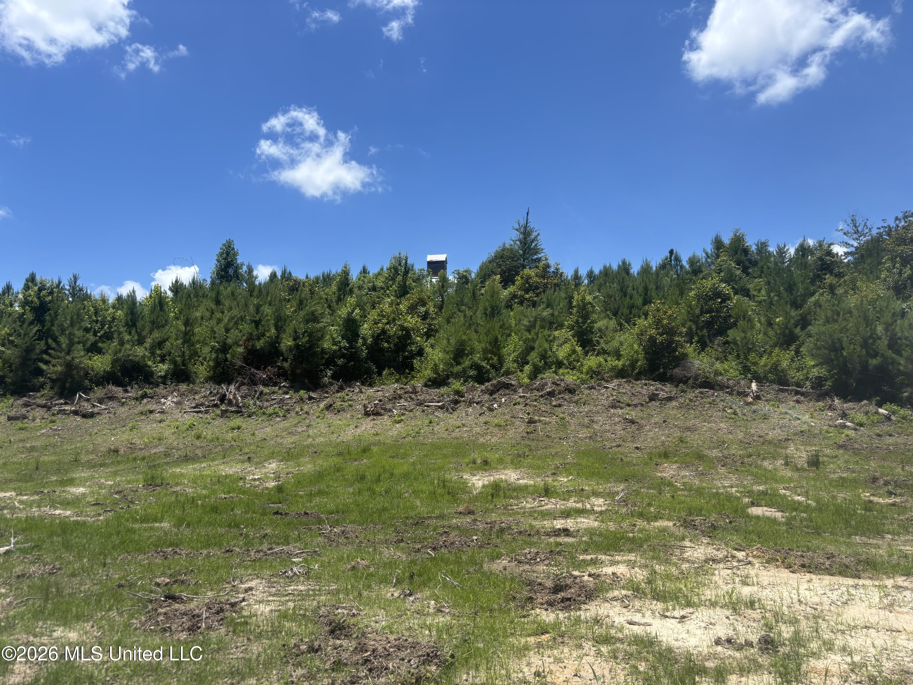 Stump Road Property Photo 9