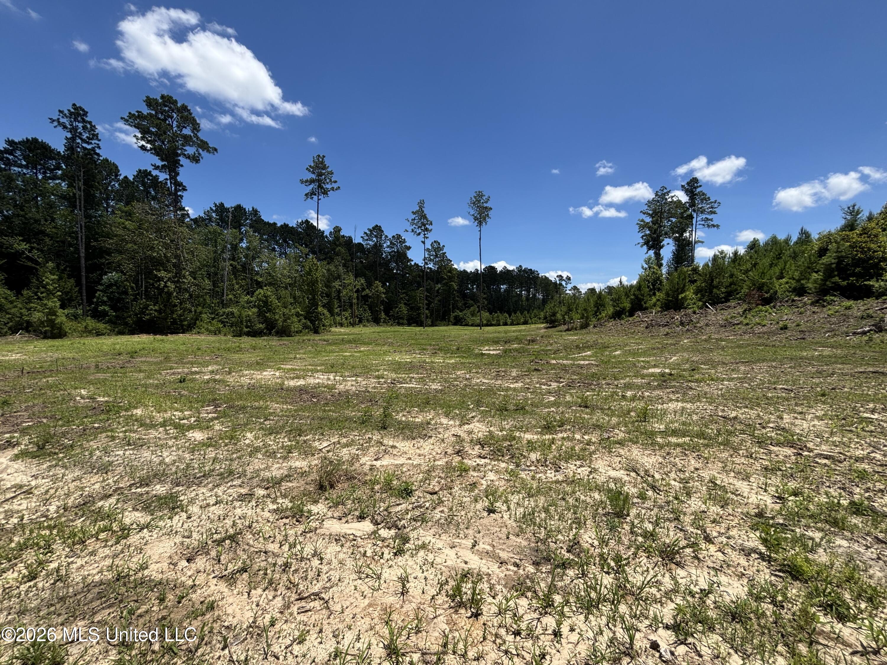 Stump Road Property Photo 10