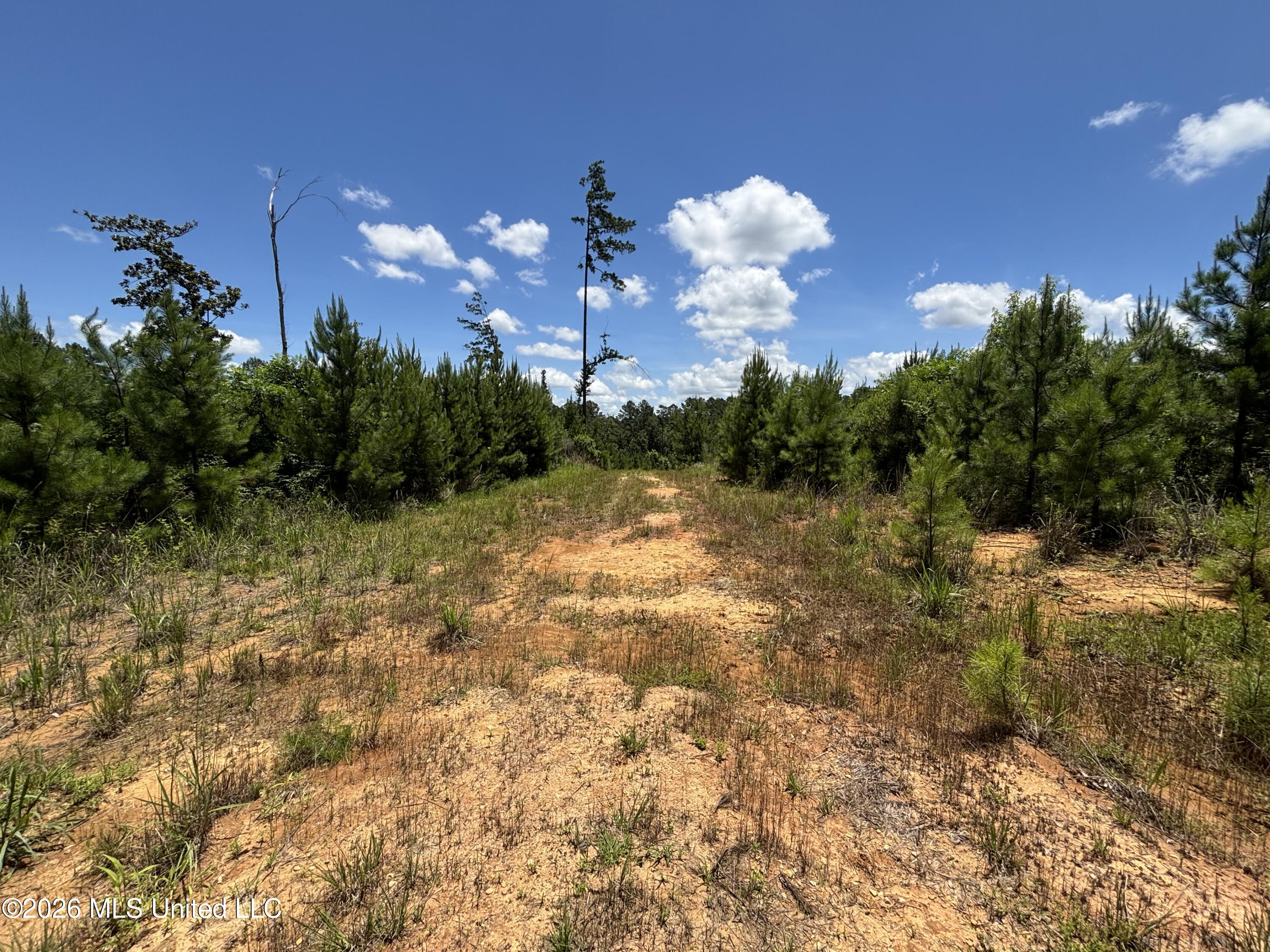 Stump Road Property Photo 11