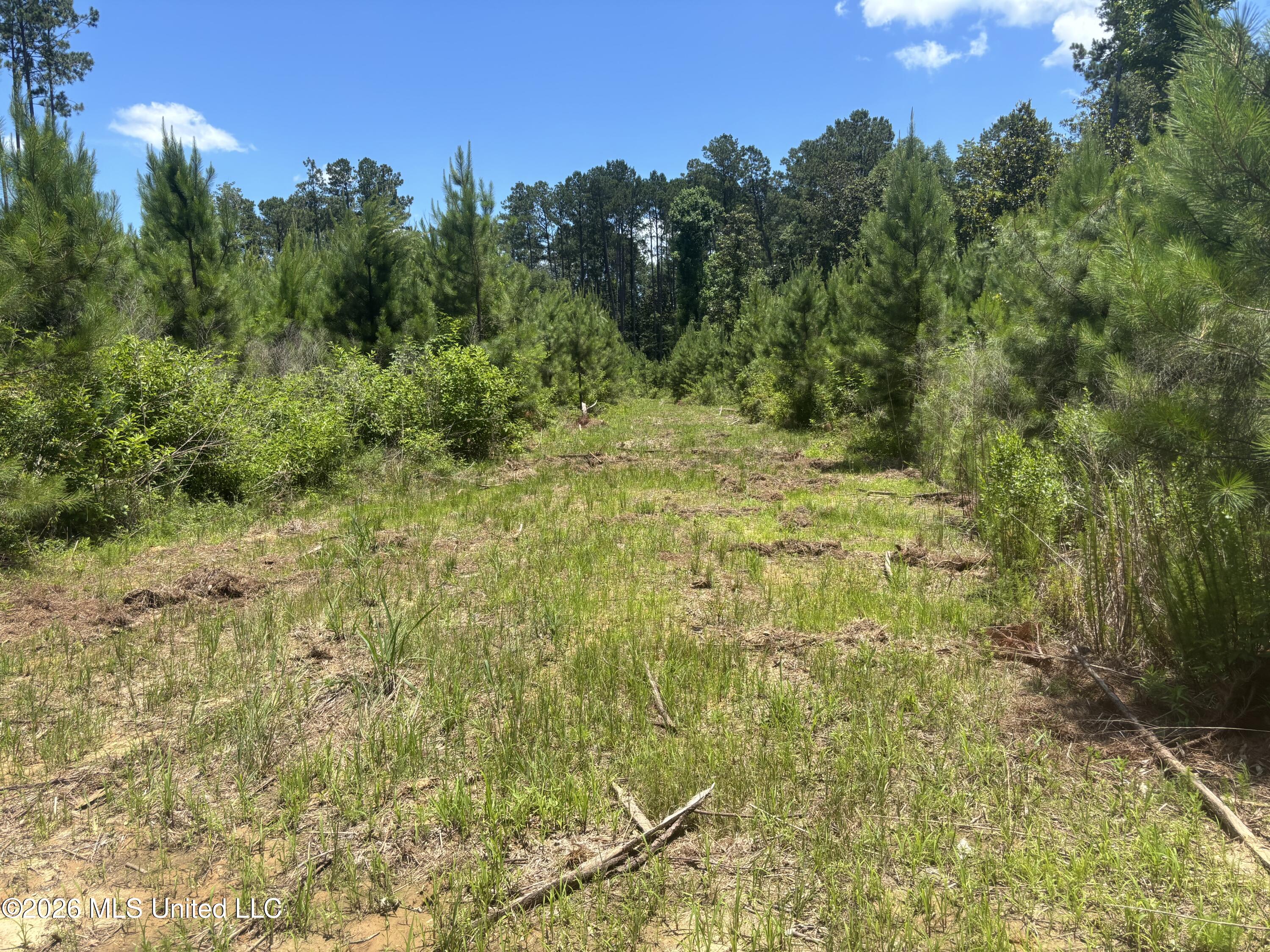 Stump Road Property Photo 12