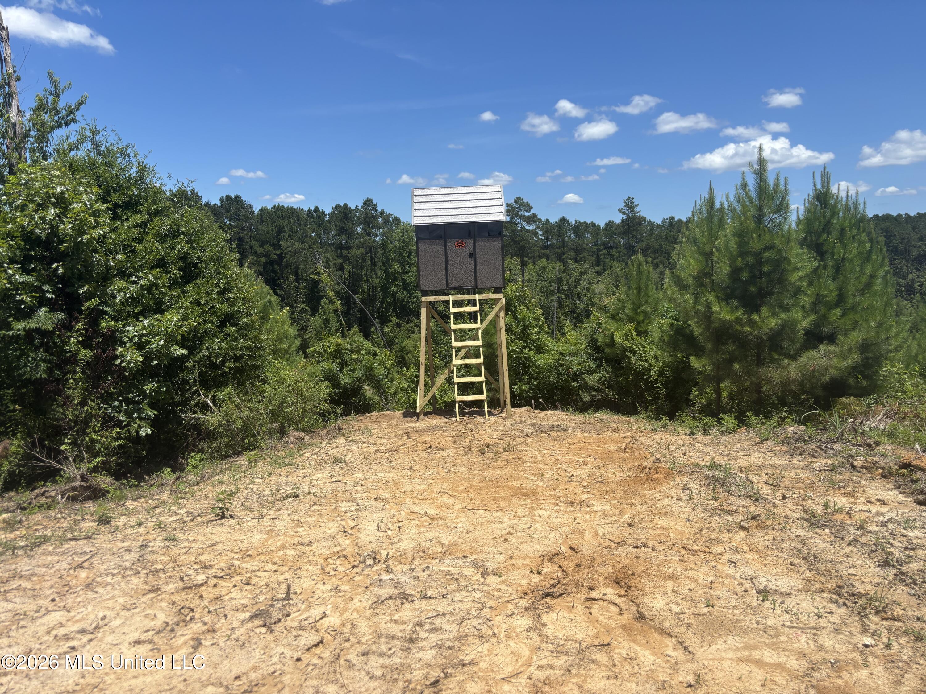 Stump Road Property Photo 13
