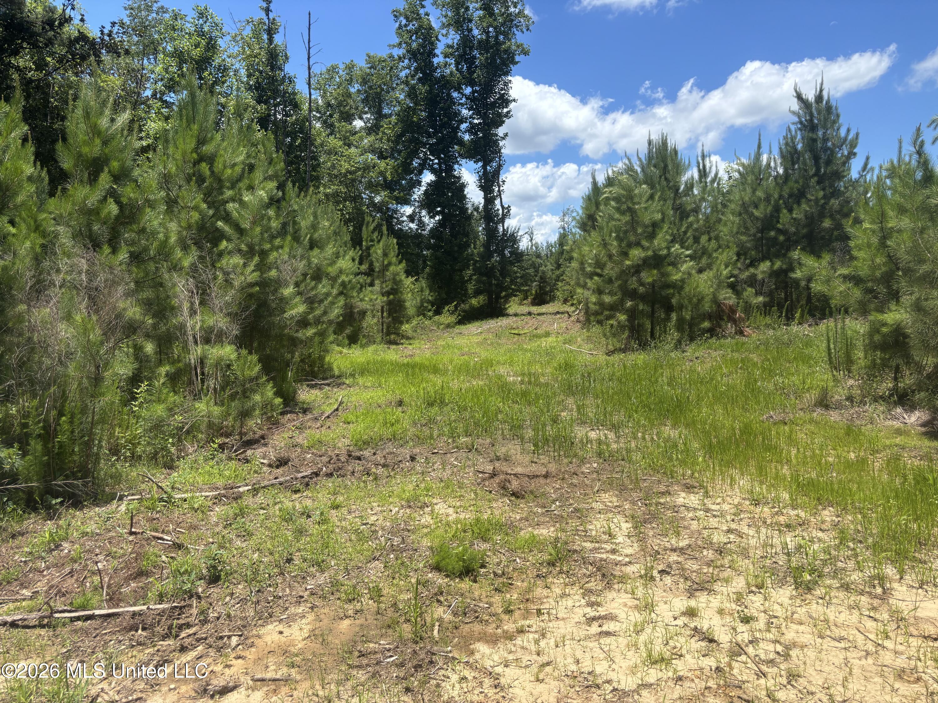 Stump Road Property Photo 14