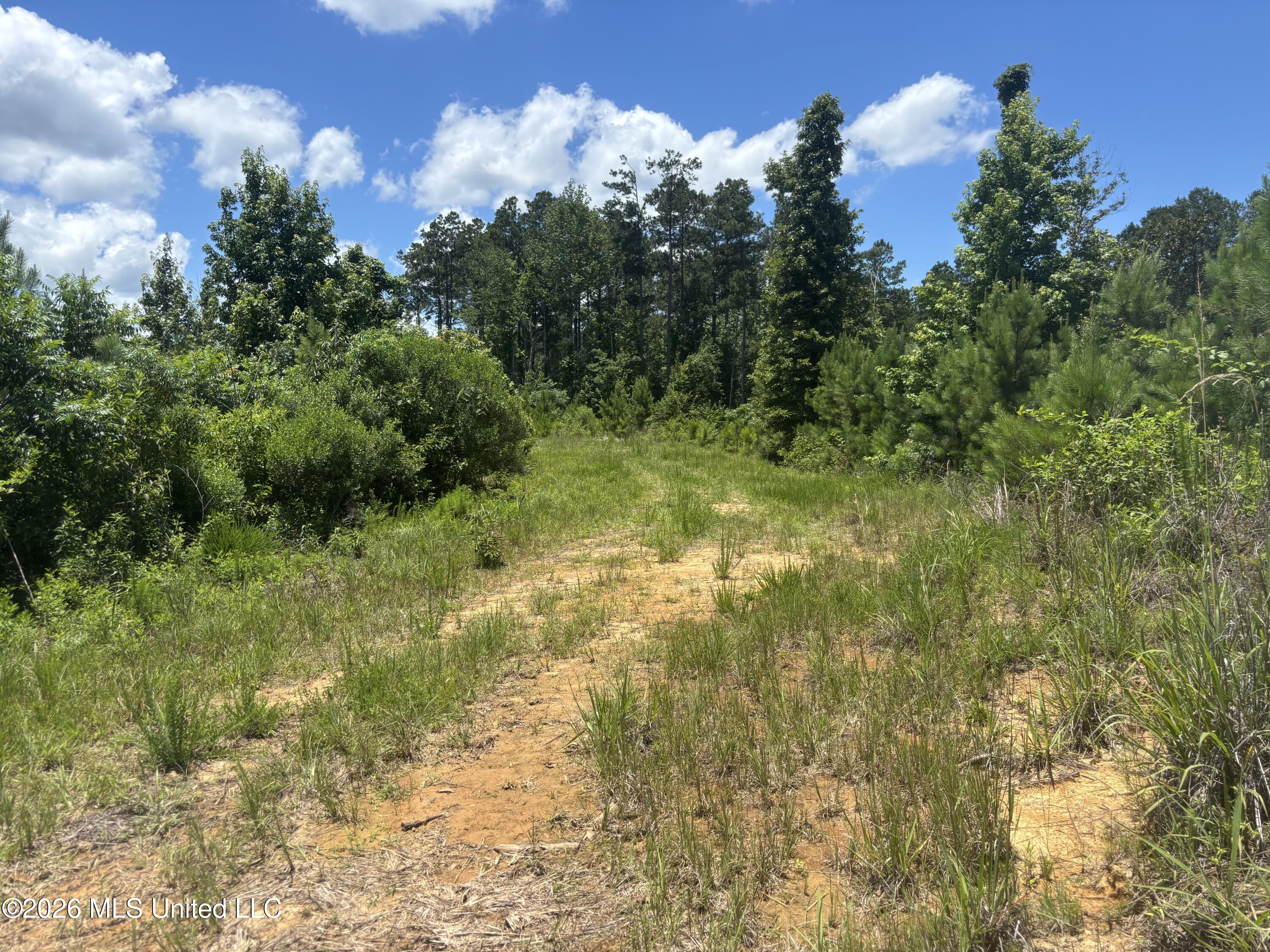 Stump Road Property Photo 15