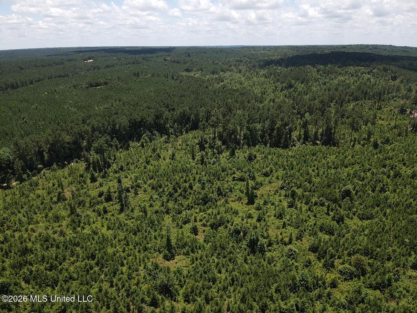 Stump Road Property Photo 16
