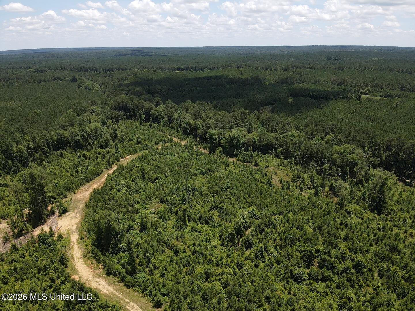 Stump Road Property Photo 18
