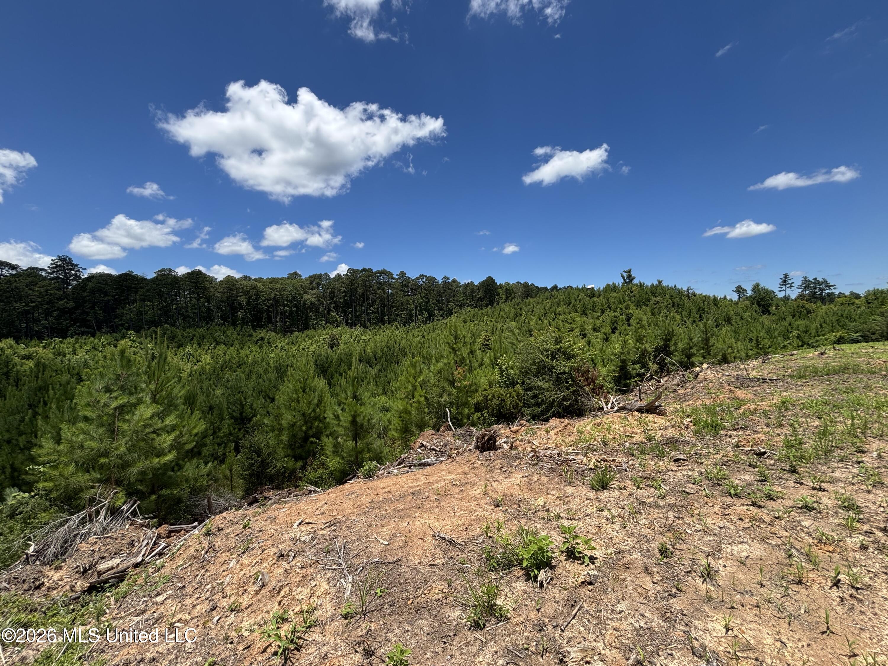 Stump Road Property Photo 21