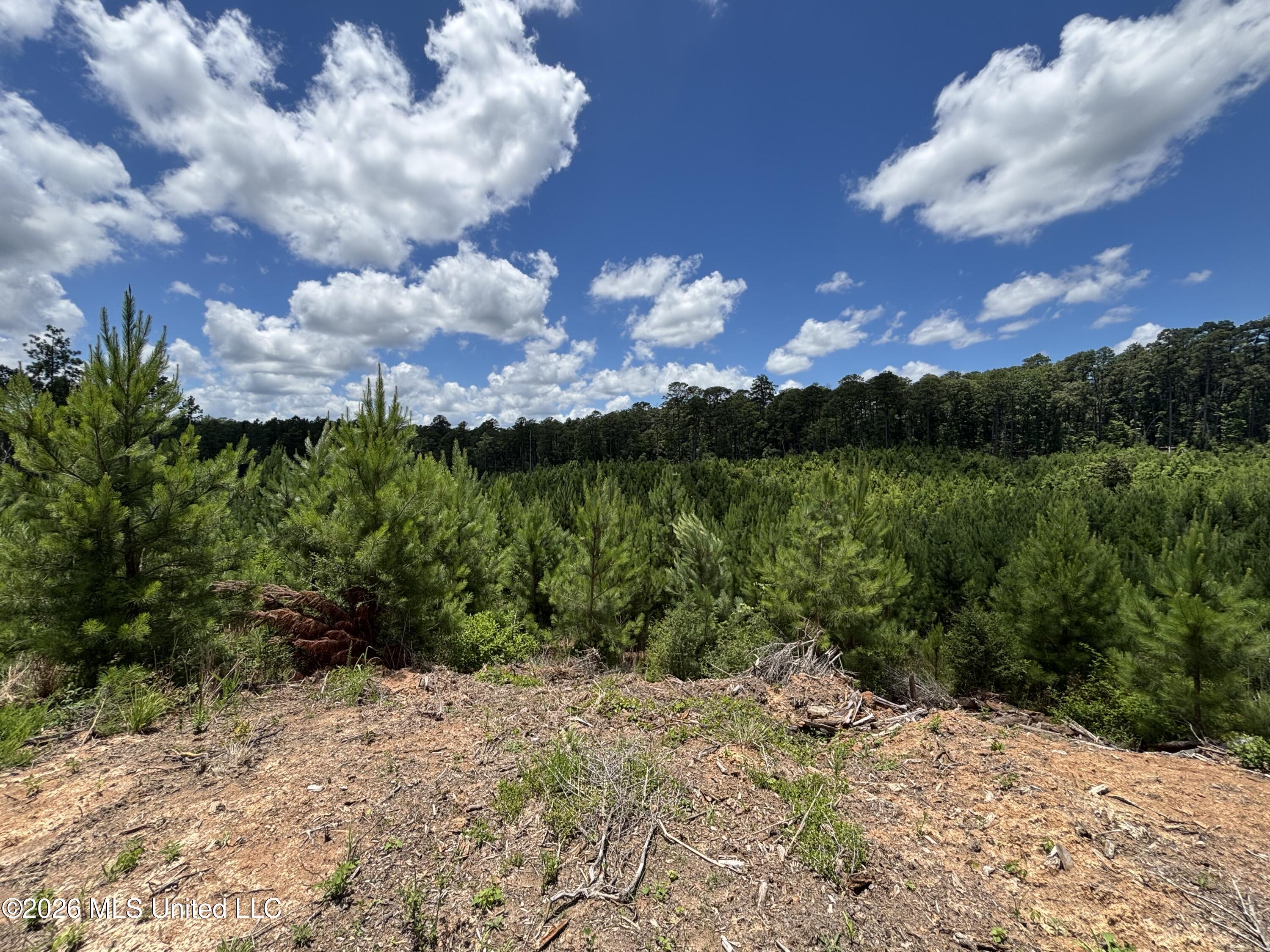 Stump Road Property Photo 22