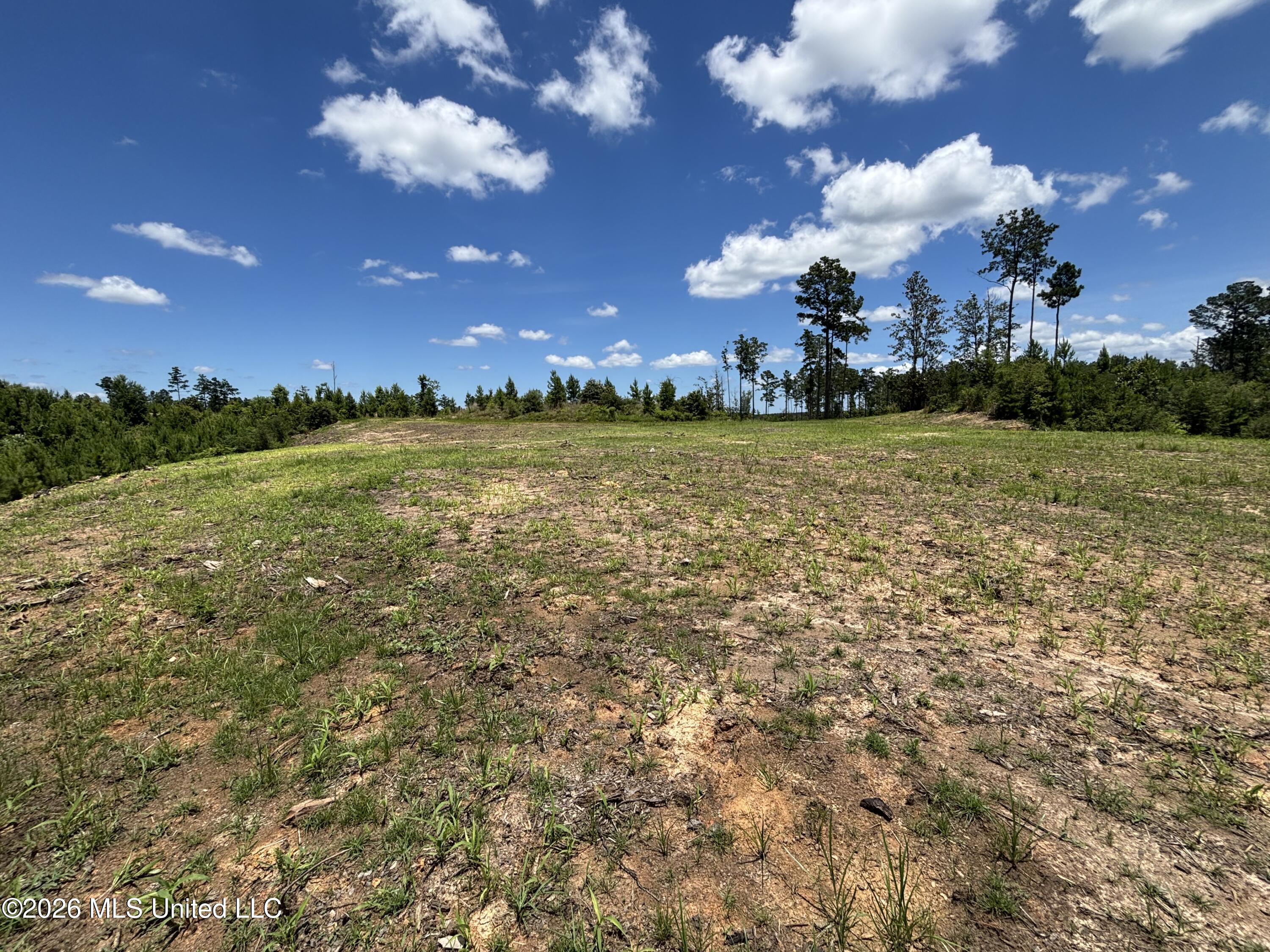 Stump Road Property Photo 23