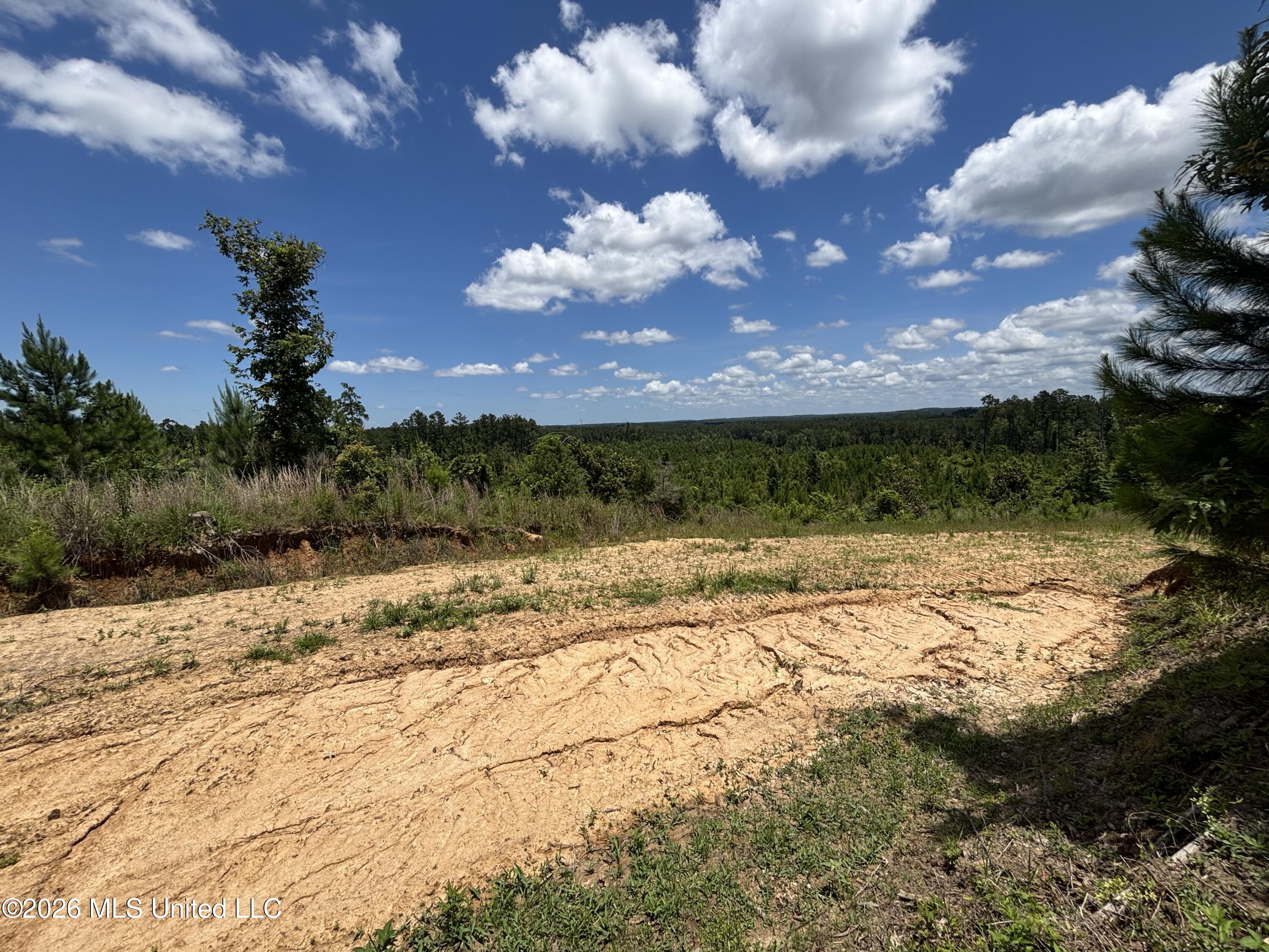 Stump Road Property Photo 24
