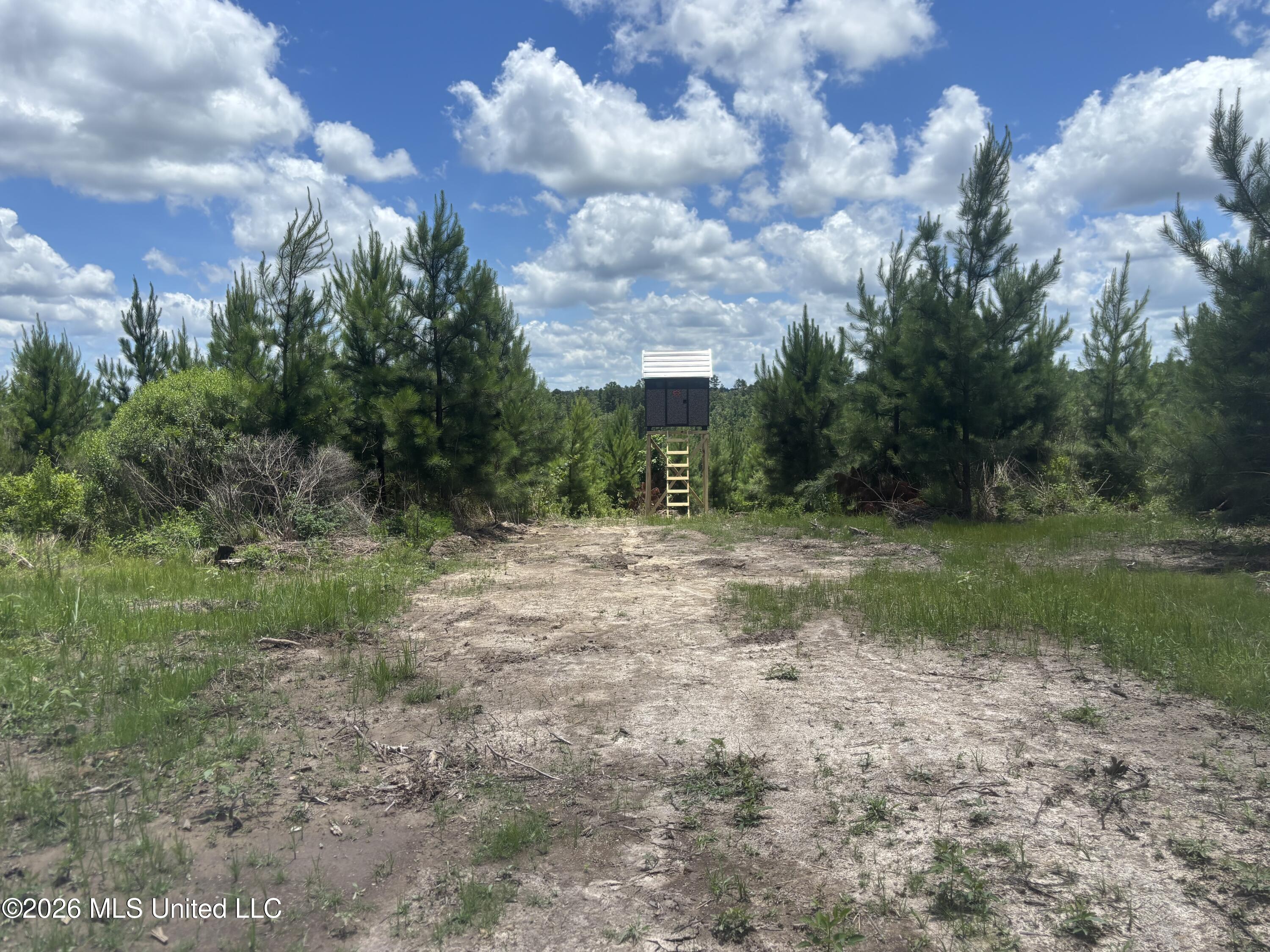 Stump Road Property Photo 25
