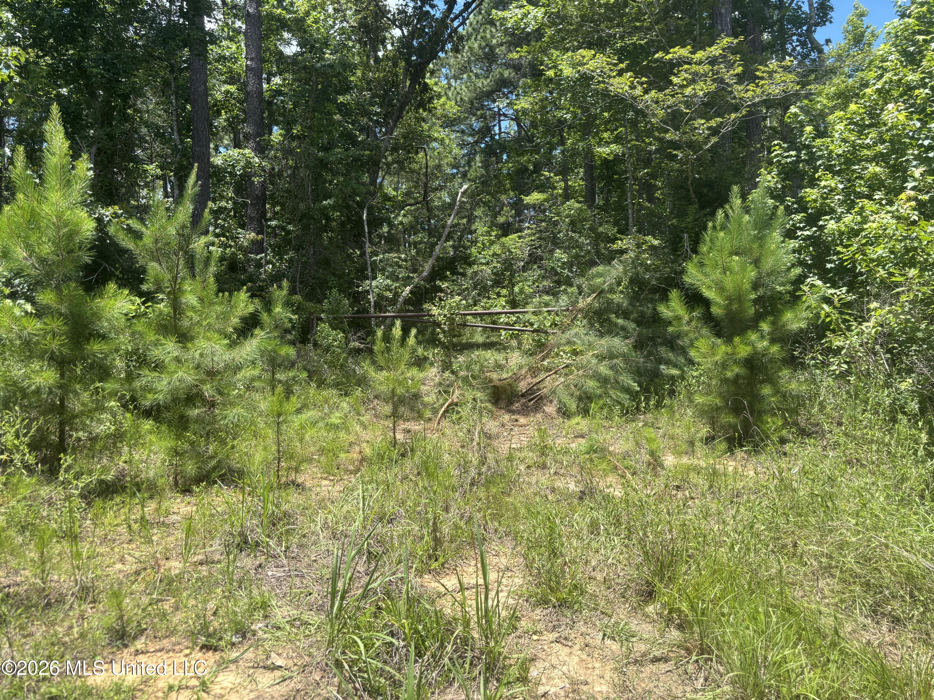 Stump Road Property Photo 26
