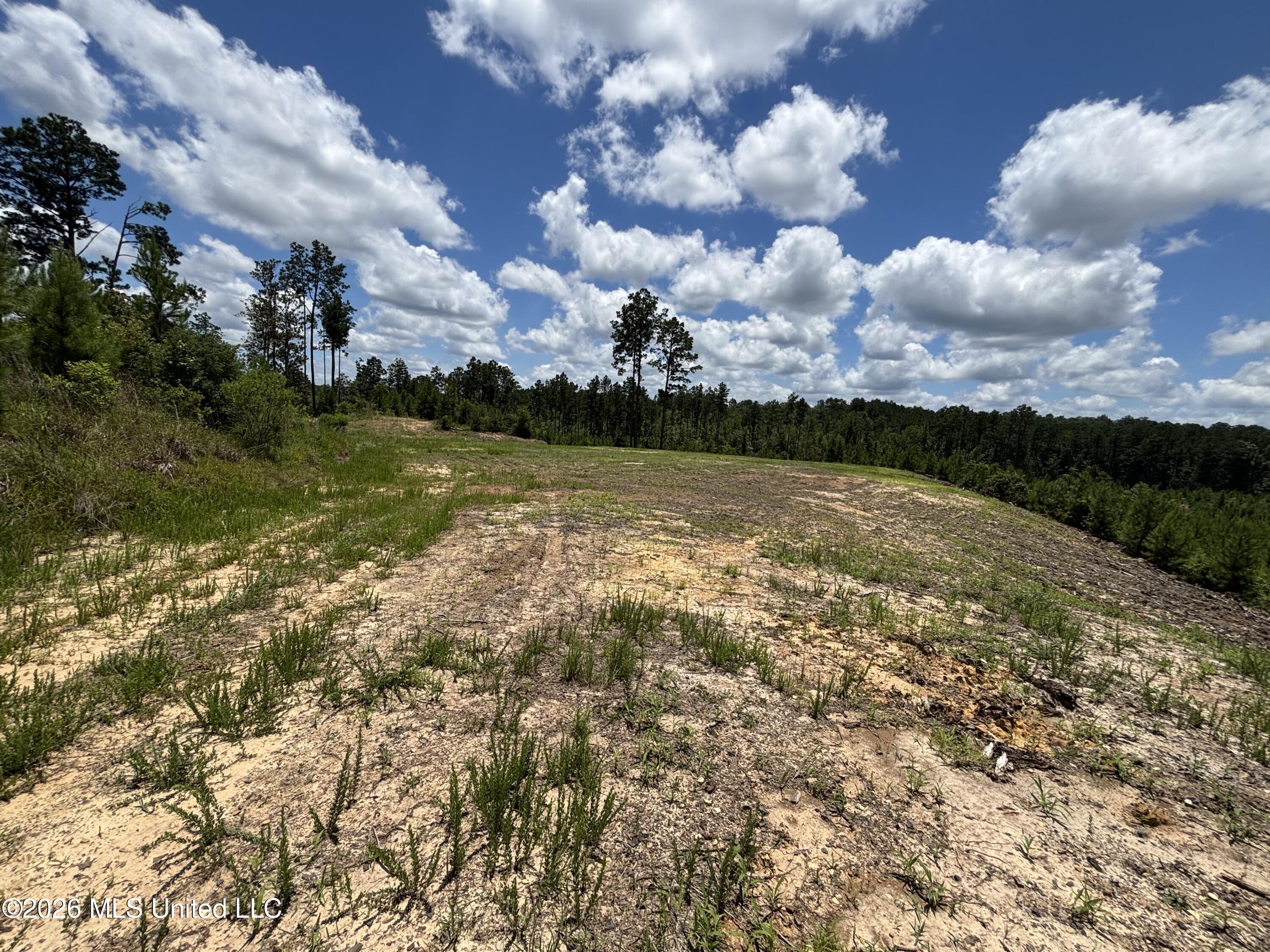 Stump Road Property Photo 27