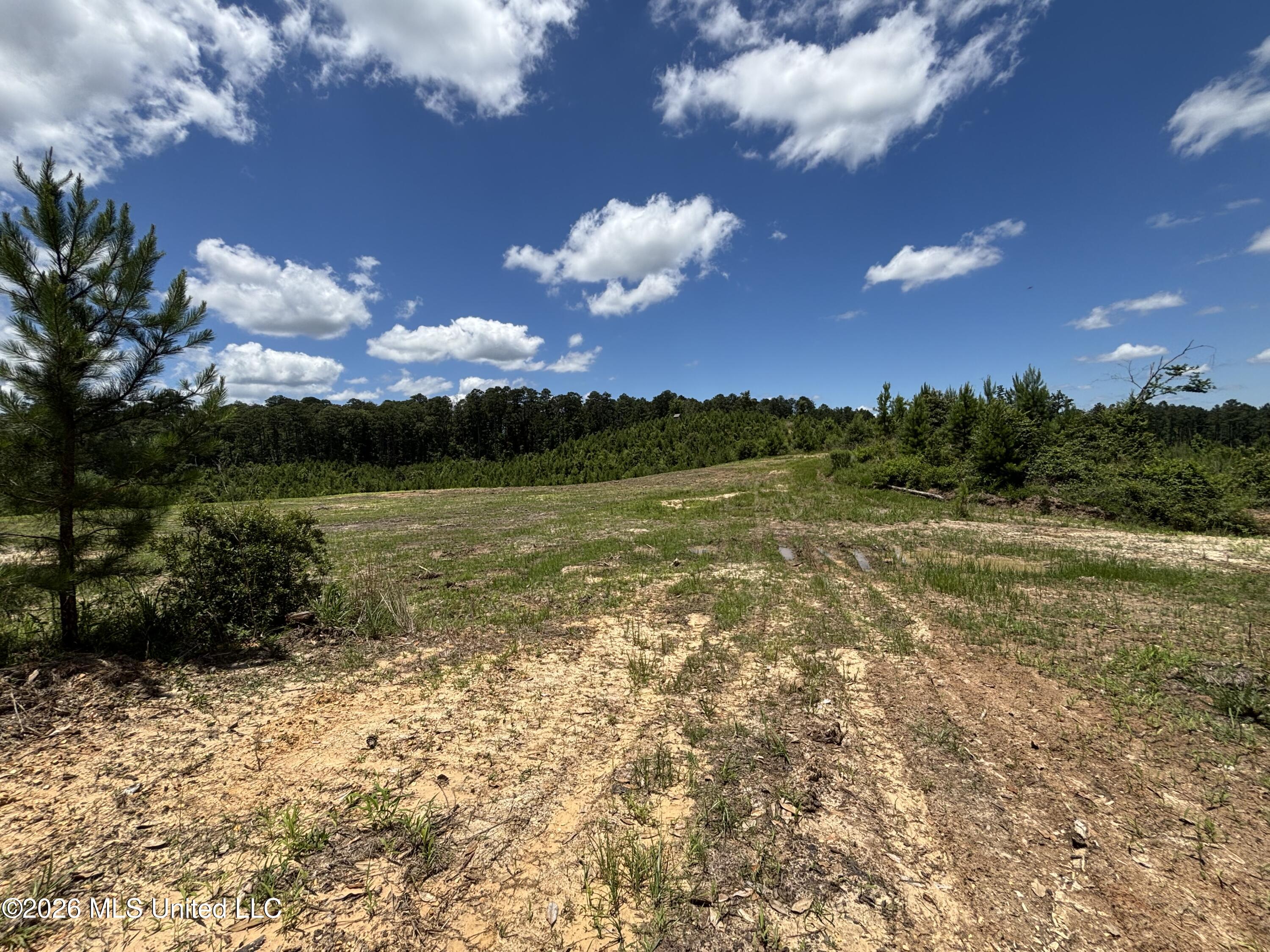 Stump Road Property Photo 28