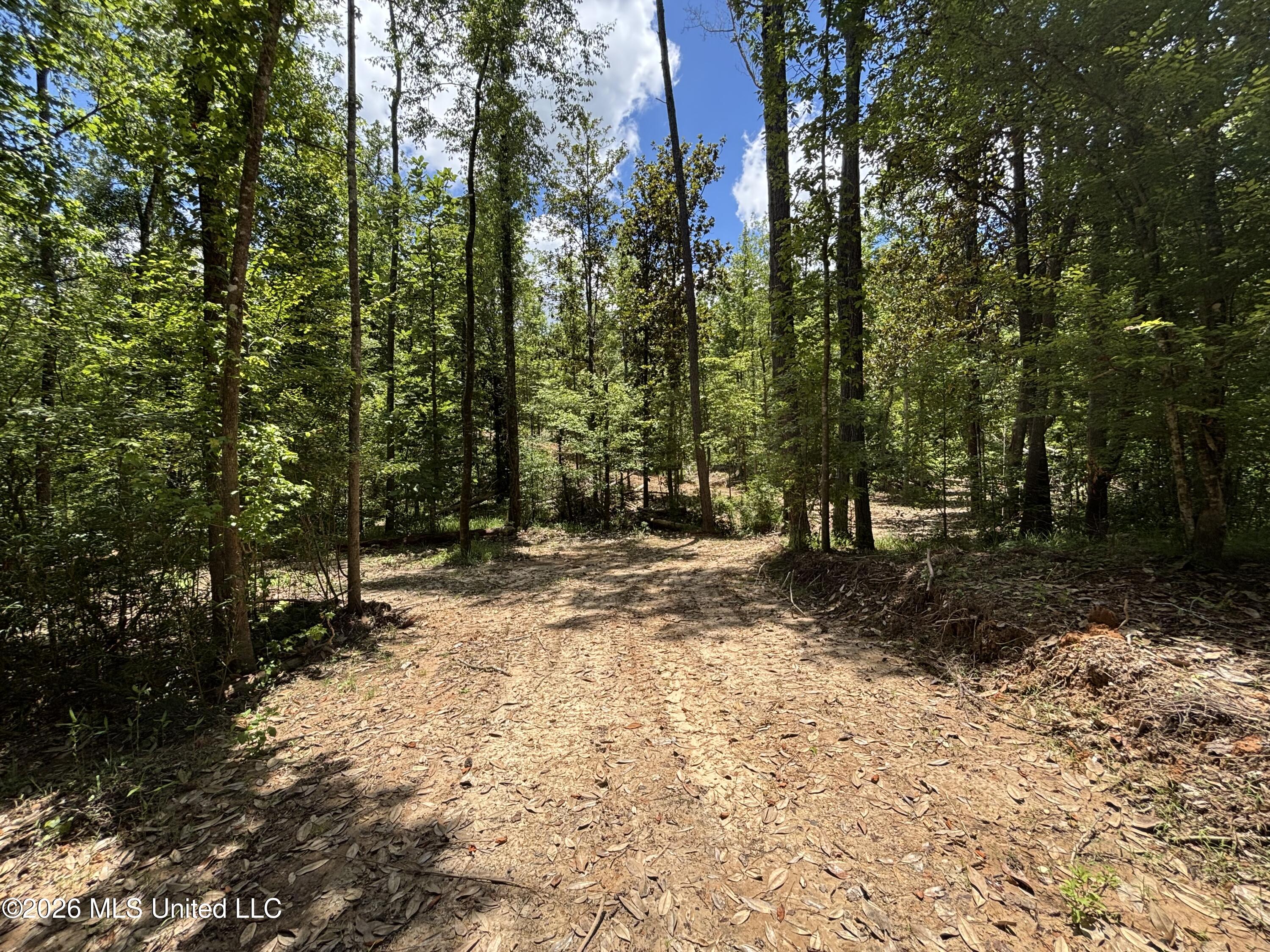 Stump Road Property Photo 29