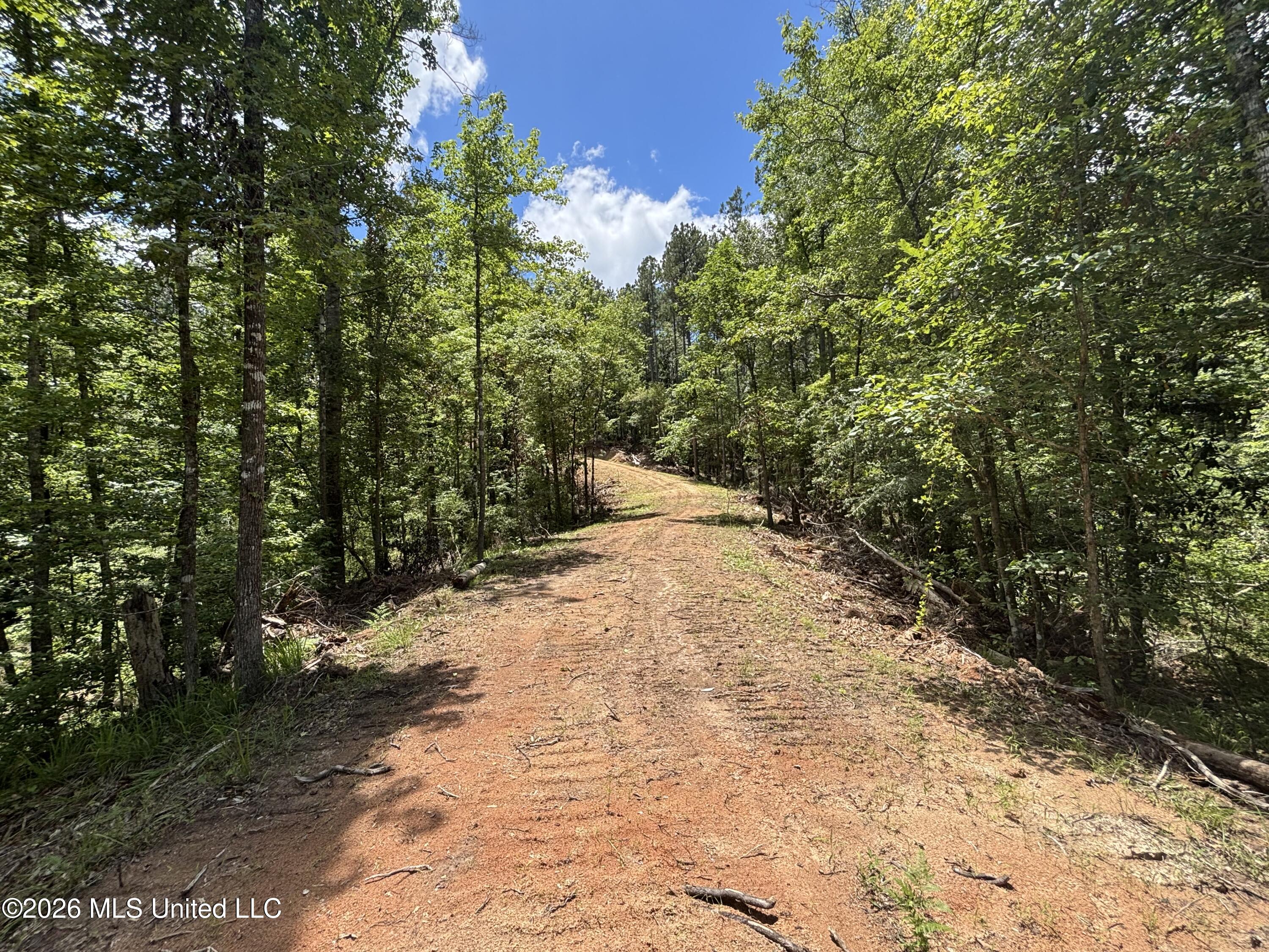 Stump Road Property Photo 30