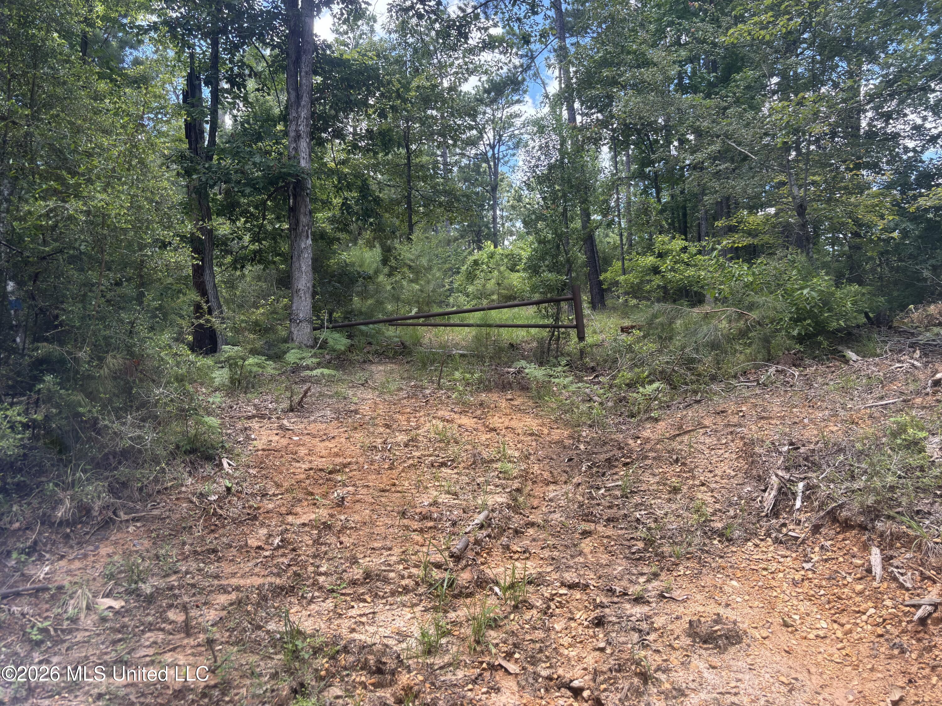 Stump Road Property Photo 31